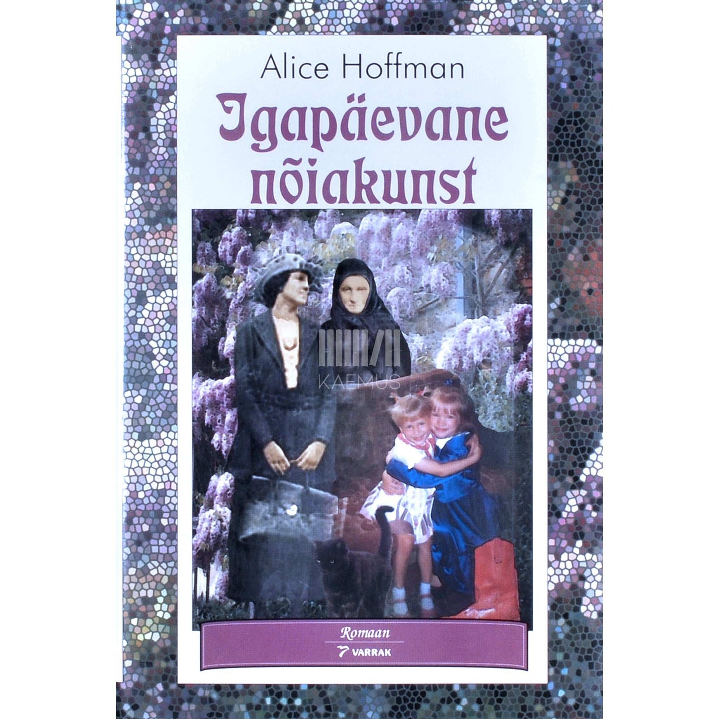 Alice Hoffman - Igapäevane nõiakunst