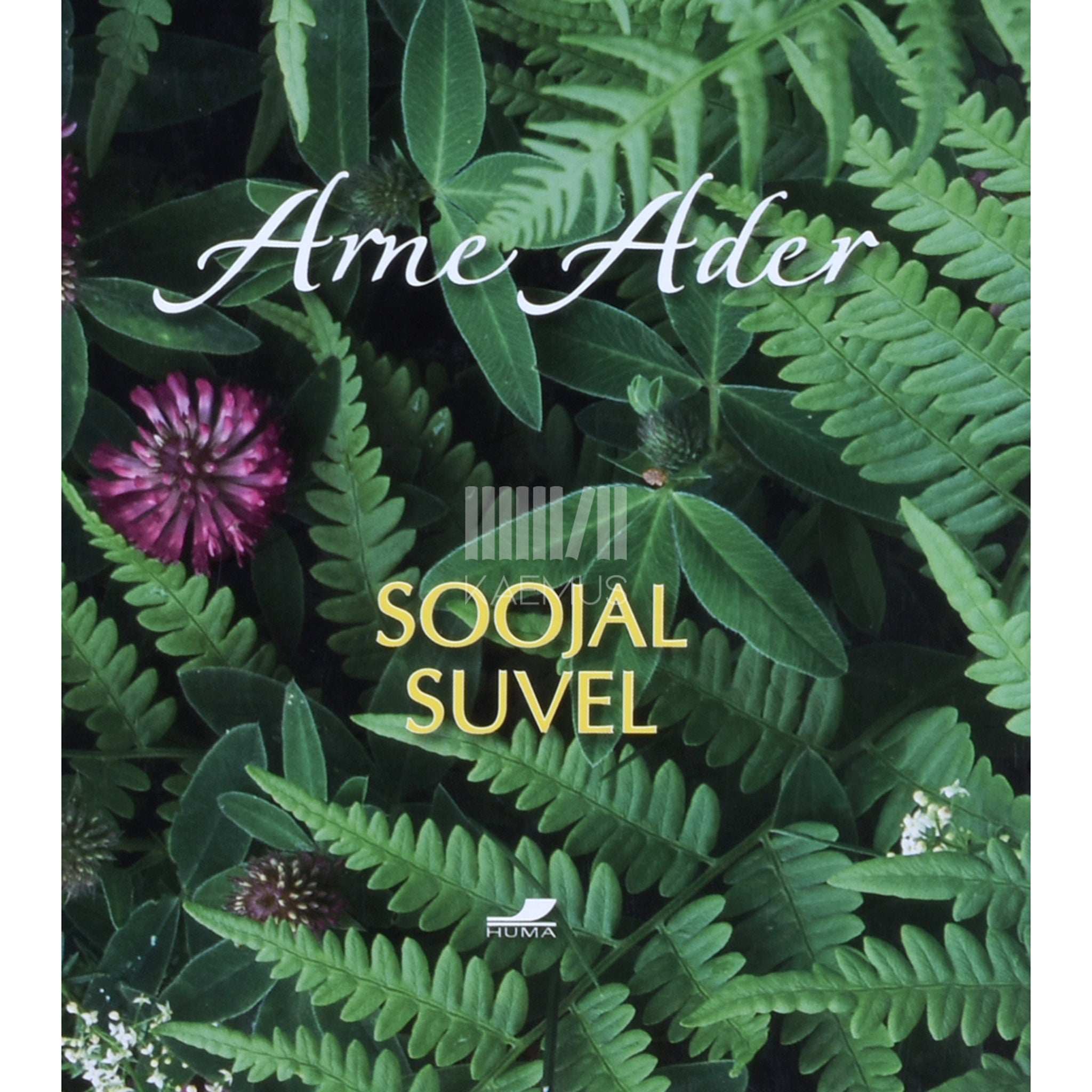Arne Ader Soojal suvel