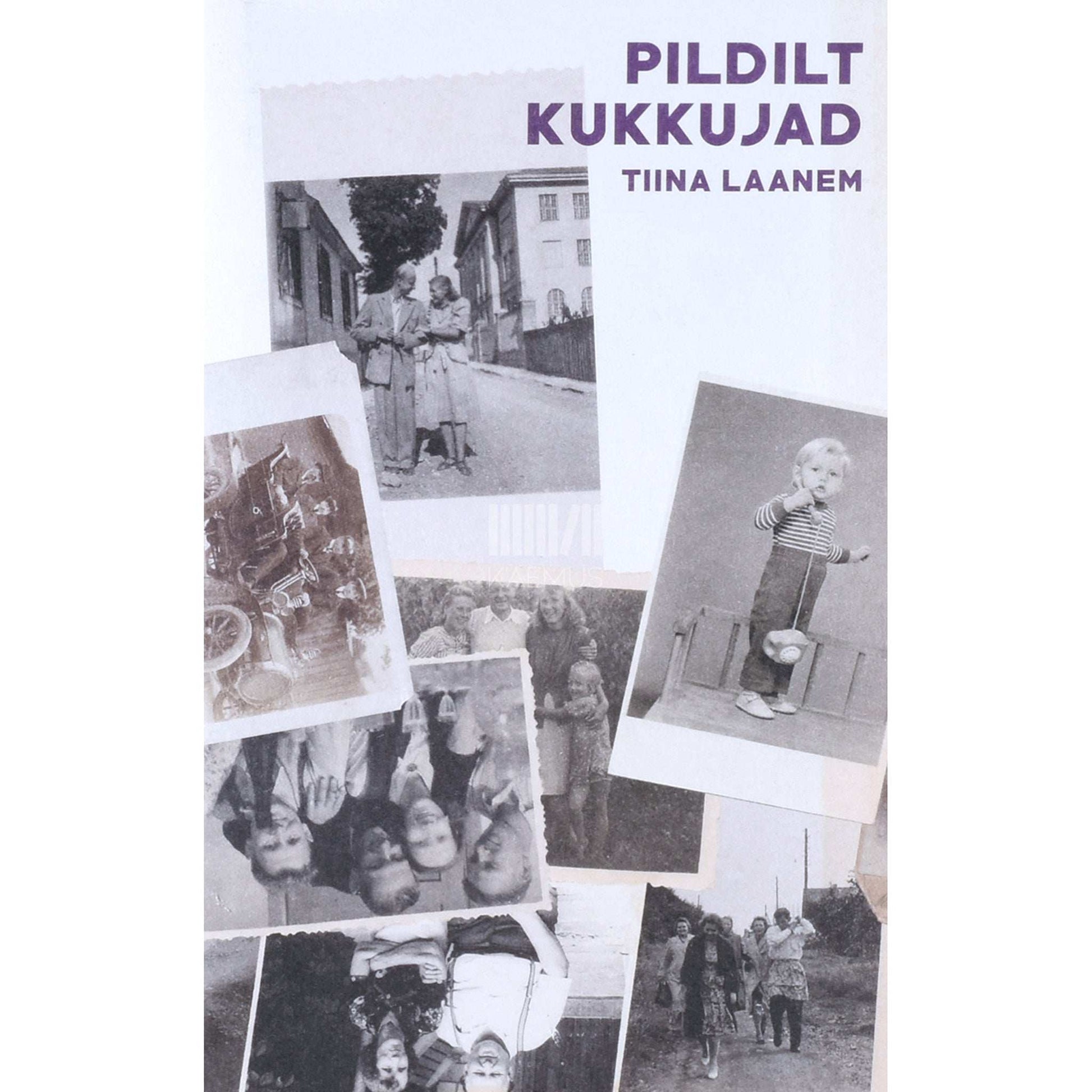 Tiina Laanem - Pildilt kukkujad