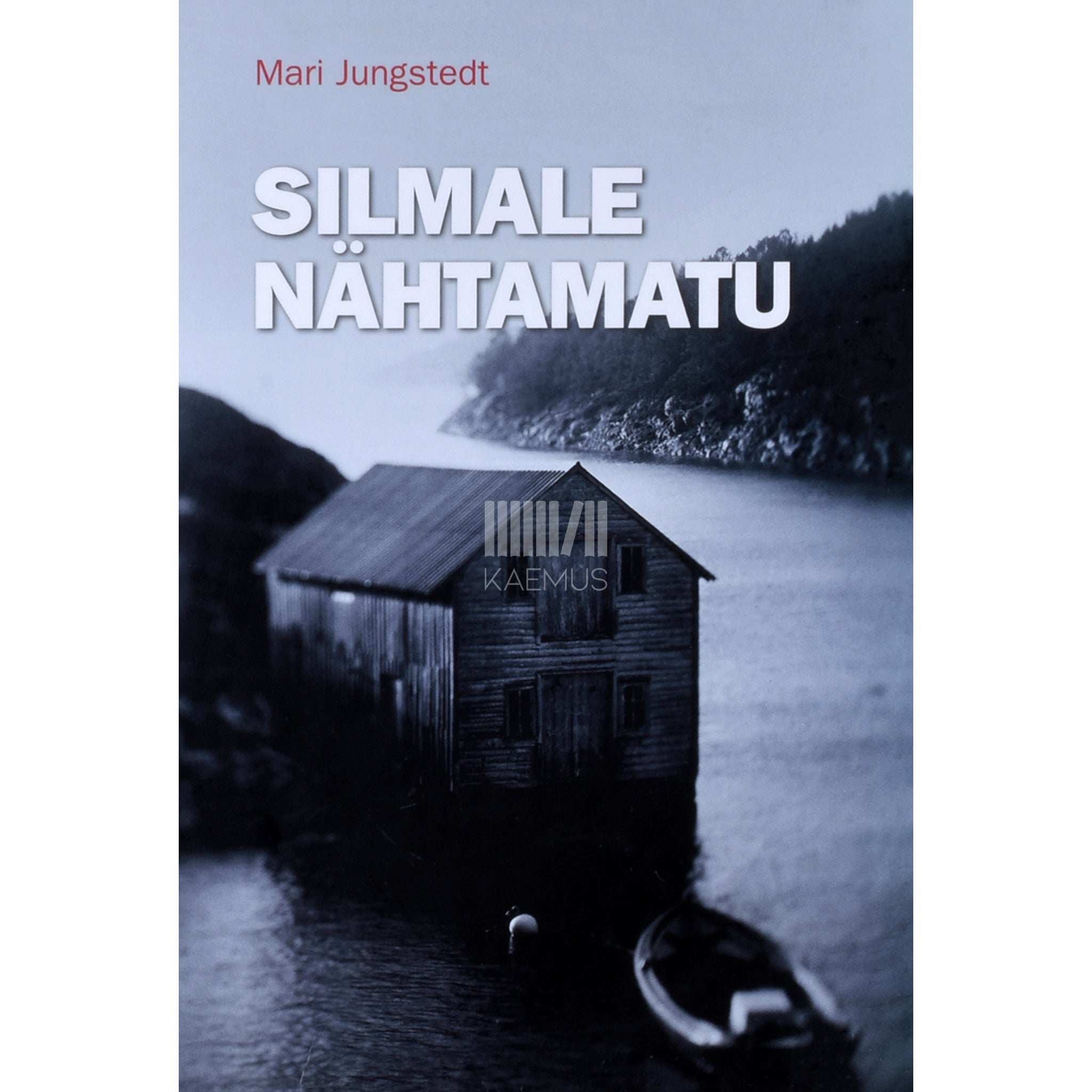 Mari Jungstedt Silmale nähtamatu