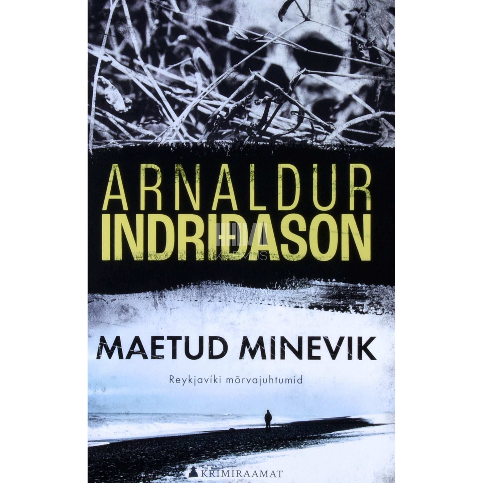 Arnaldur Indriðason Maetud minevik