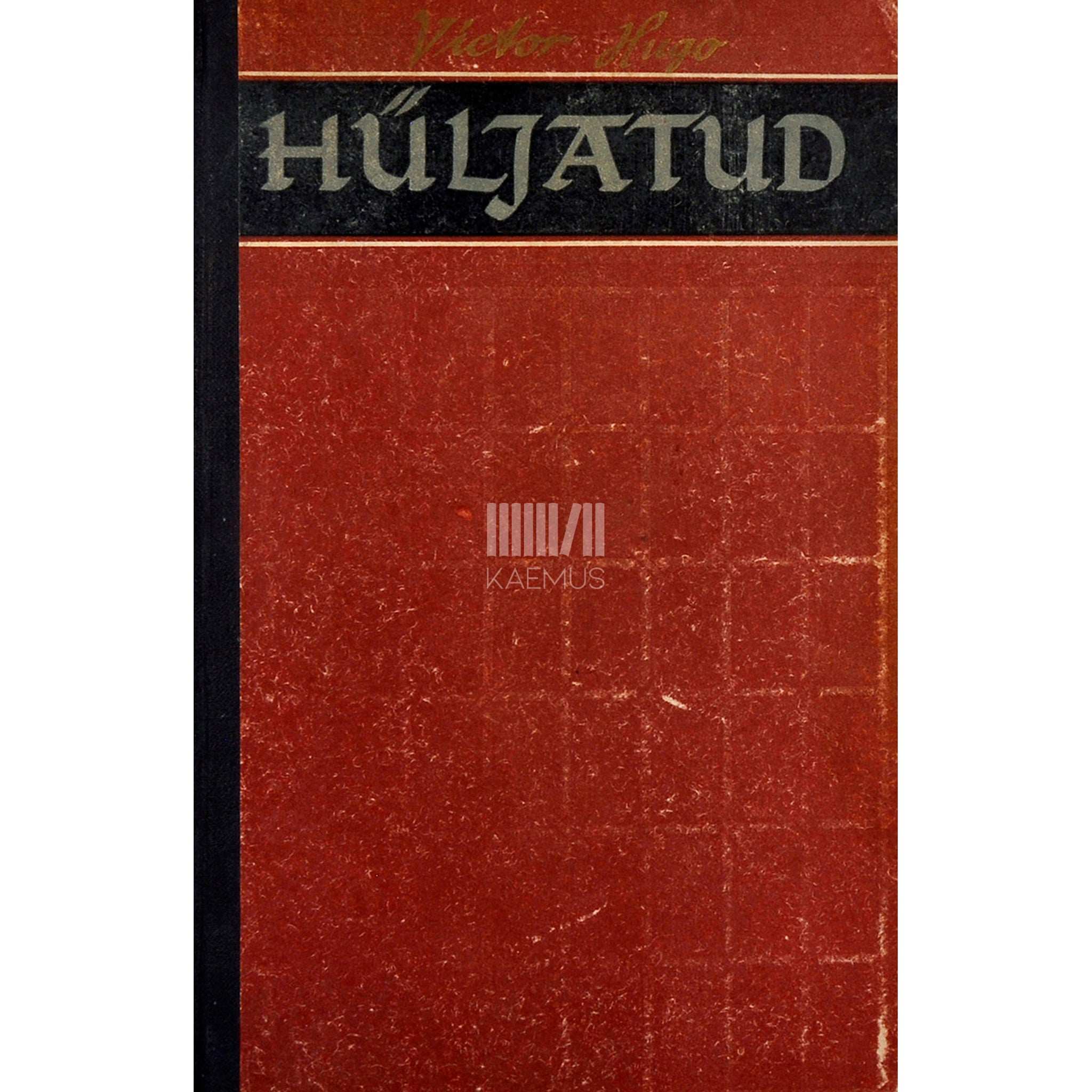 Victor Hugo Hüljatud 1. osa