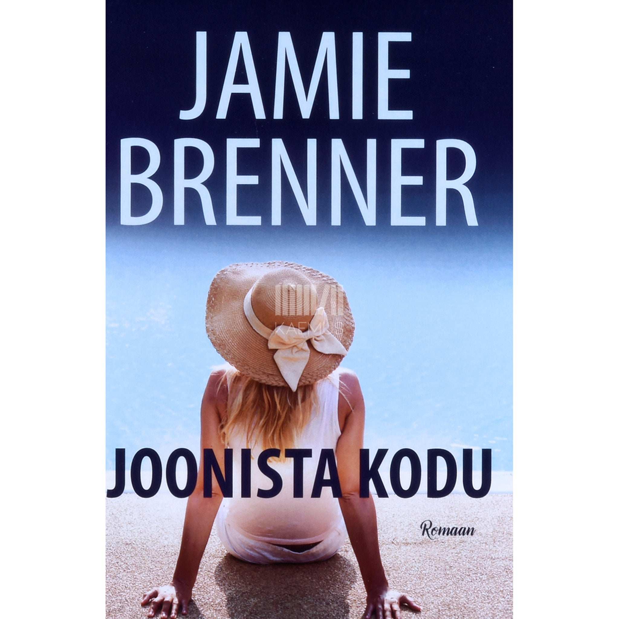 Jamie Brenner Joonista kodu