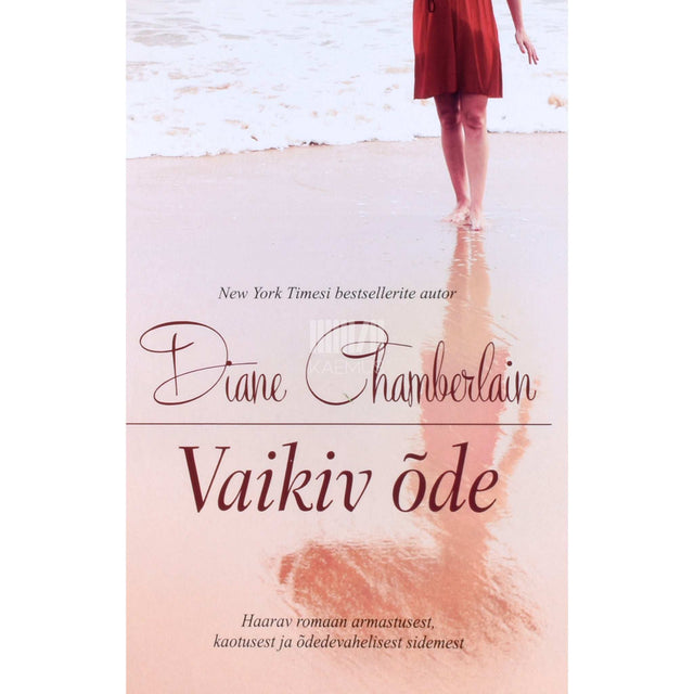 Diane Chamberlain - Vaikiv õde