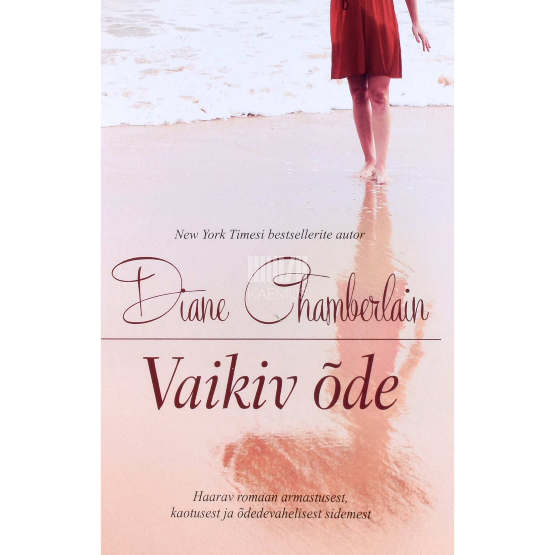 Diane Chamberlain - Vaikiv õde