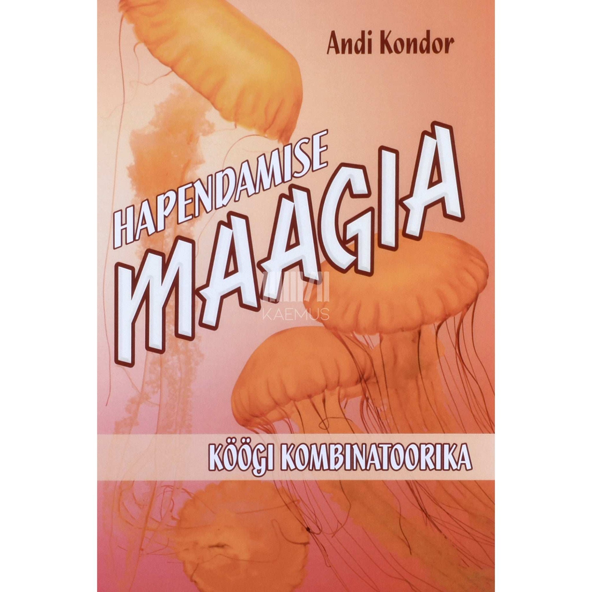 Andi Kondor - Hapendamise maagia. Köögi kombinatoorika