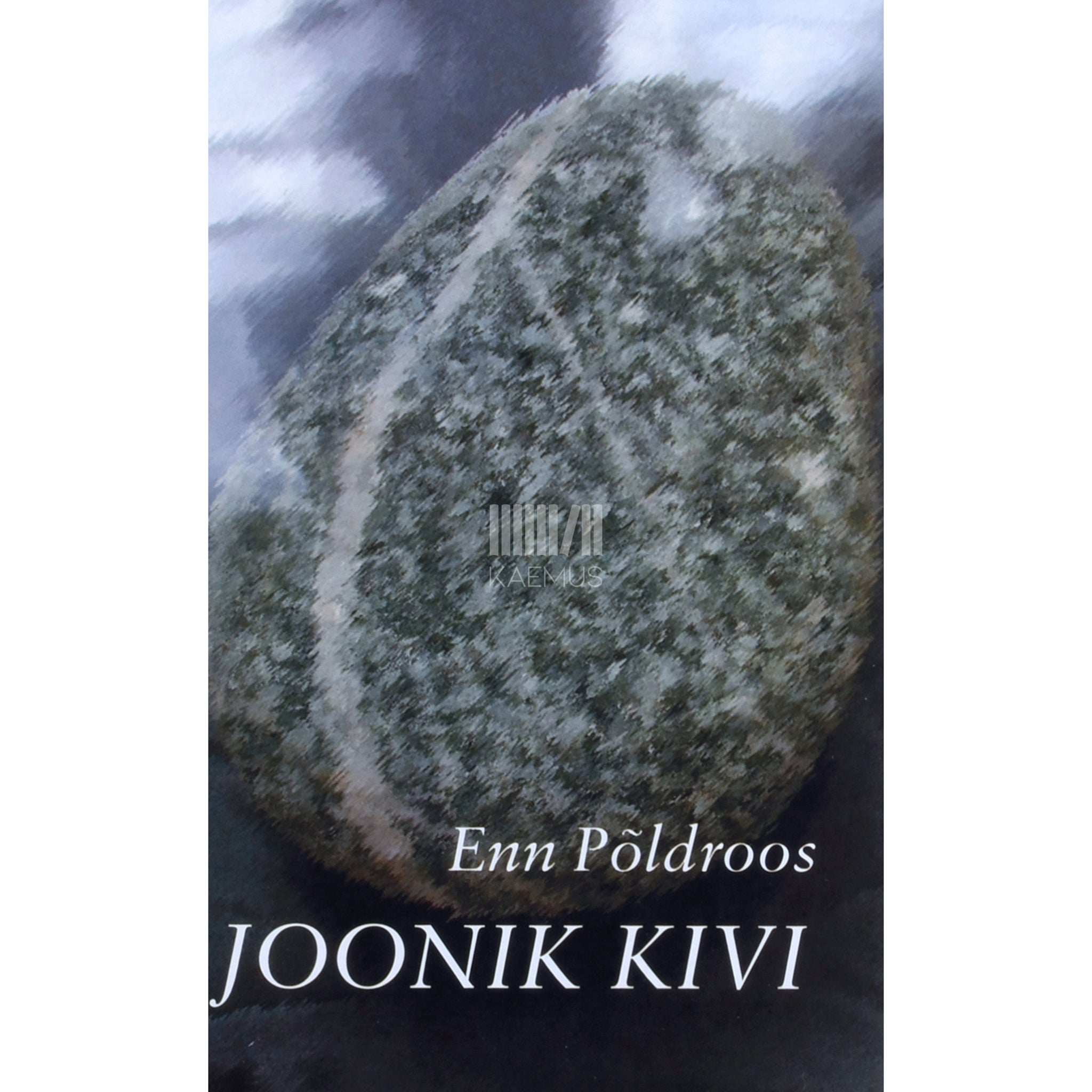 Enn Põldroos Joonik kivi