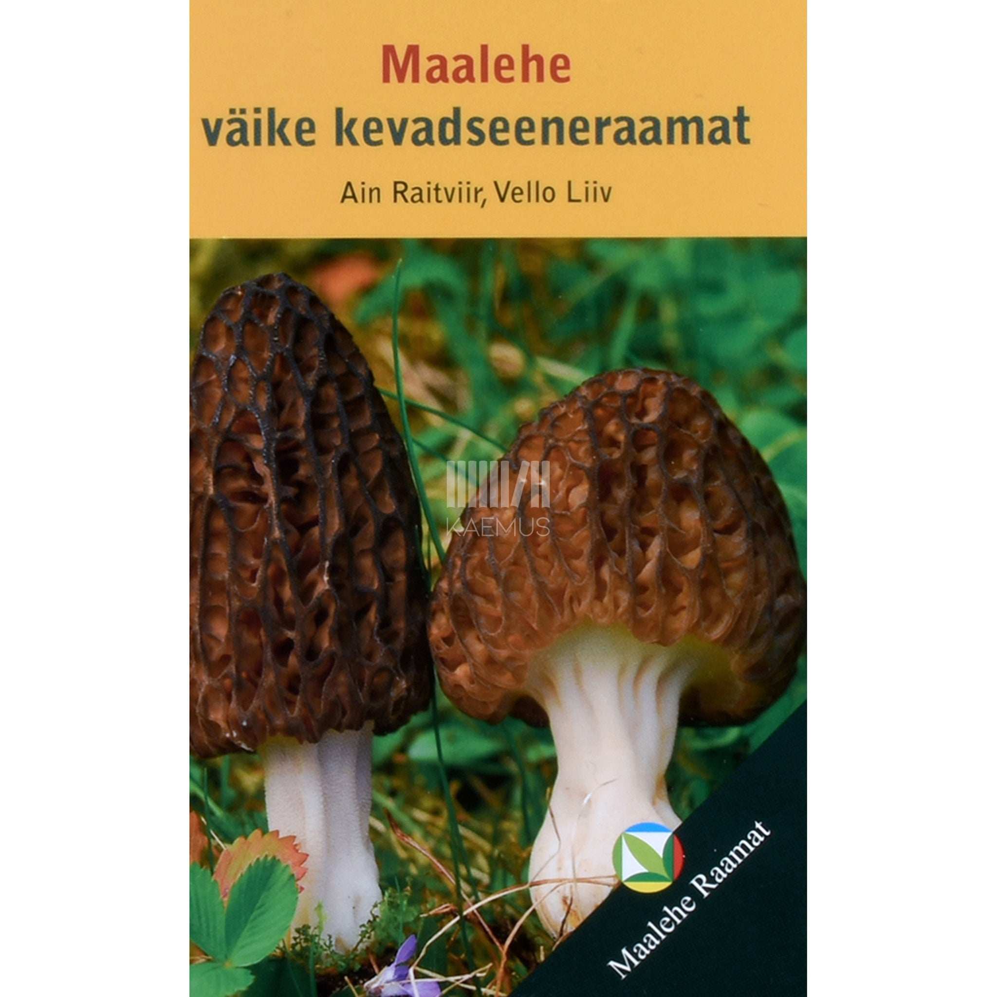 Ain Raitviir Maalehe väike kevadseeneraamat