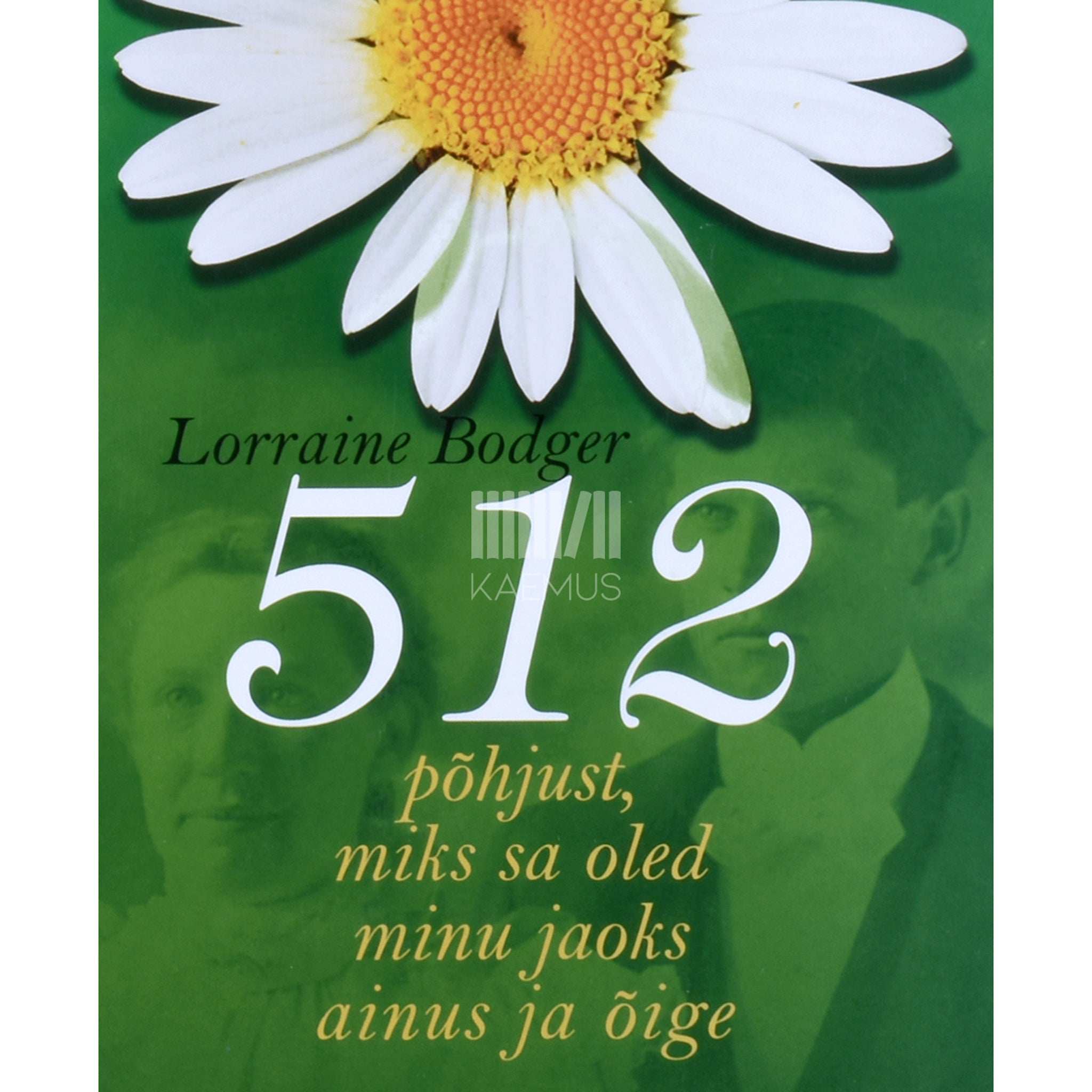 Lorraine Bodger 512 põhjust, miks sa oled minu jaoks ainus ja õige