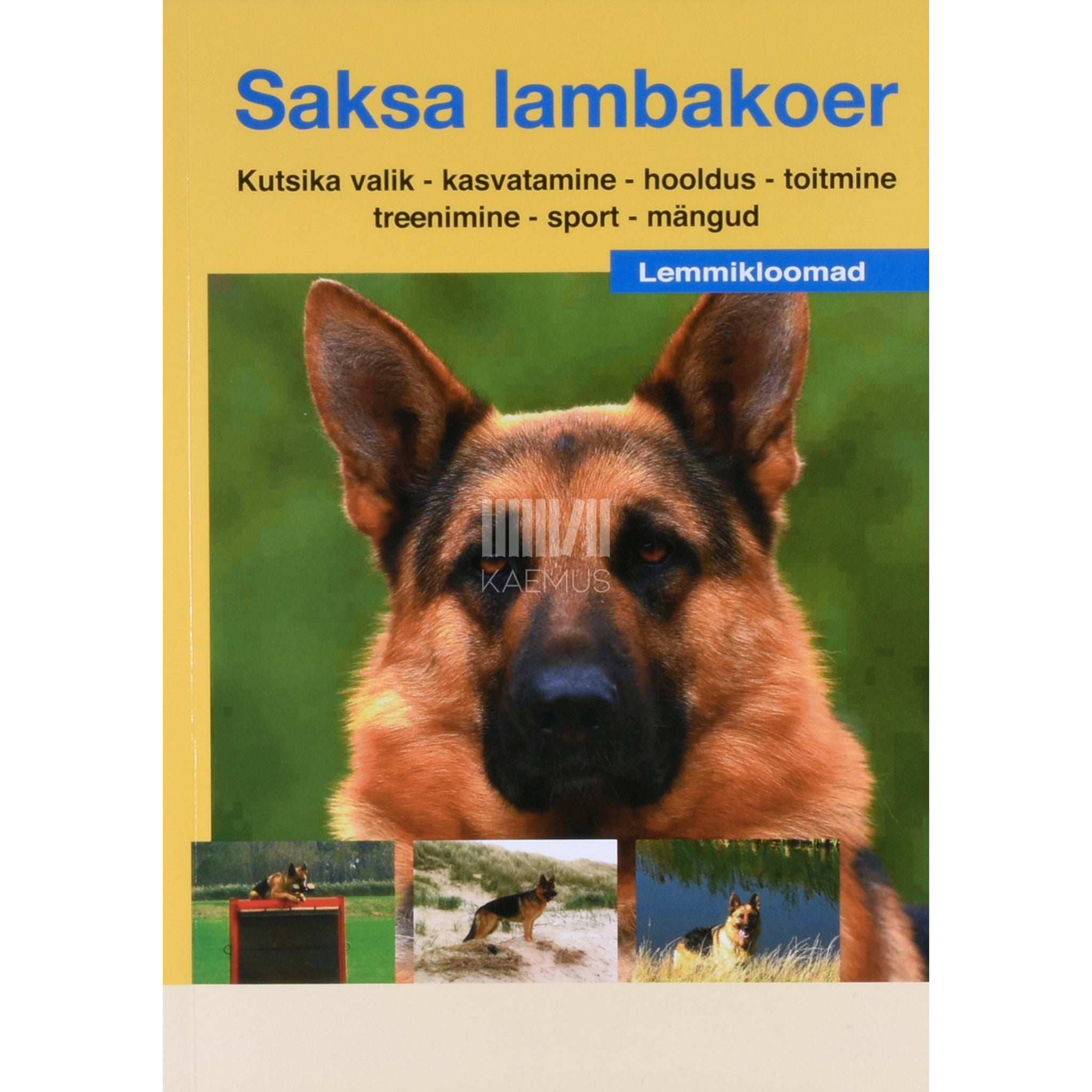 ... Saksa lambakoer. Näpunäiteid ja asjatundlikke soovitusi…