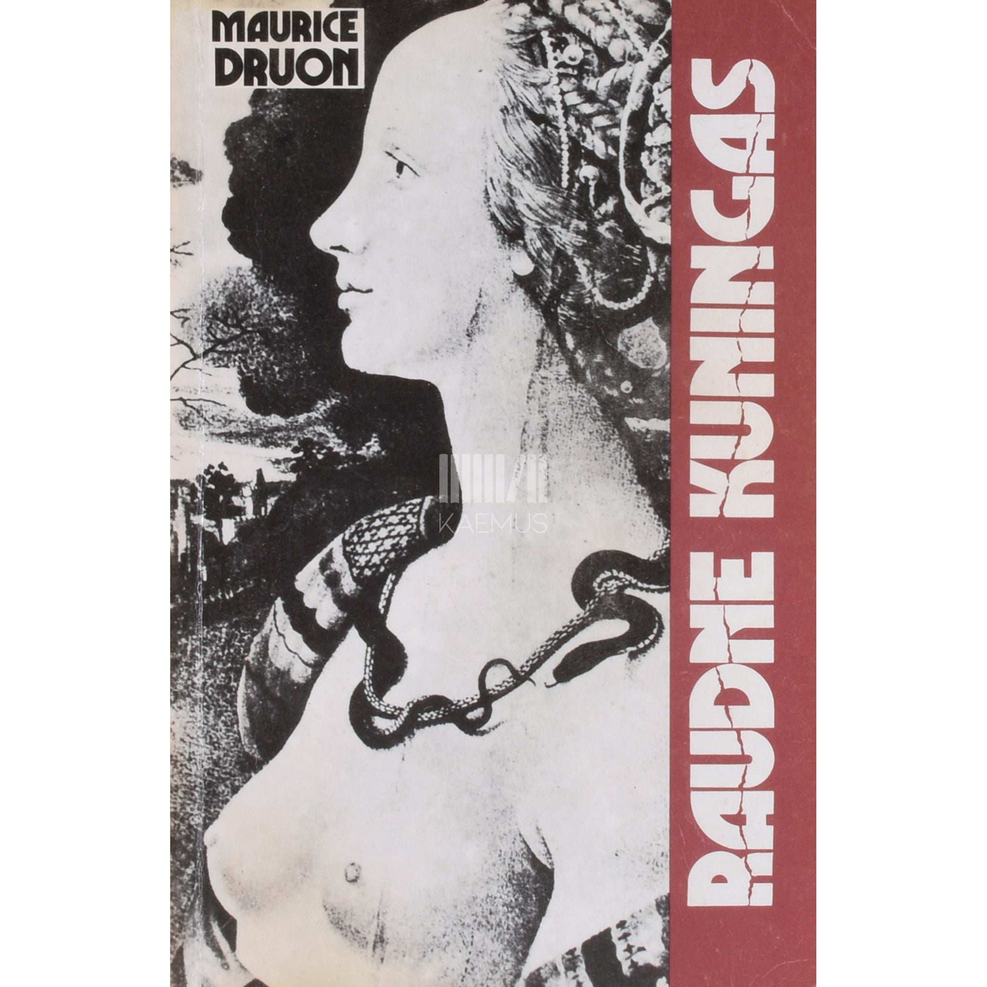 Maurice Druon - Raudne kuningas