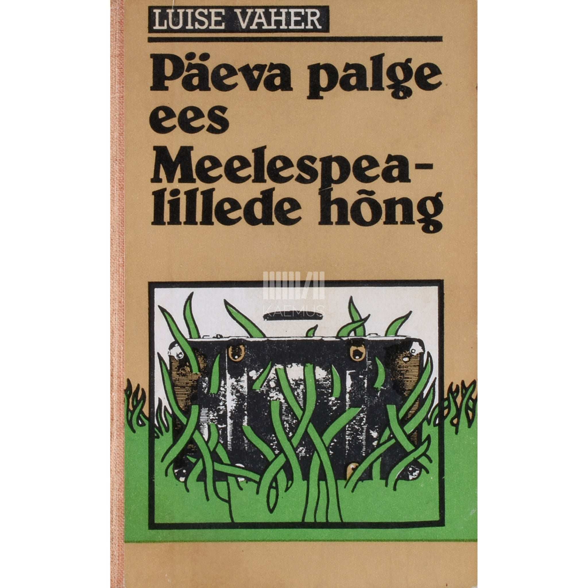 Luise Vaher Päeva palge ees. Meelespealillede hõng