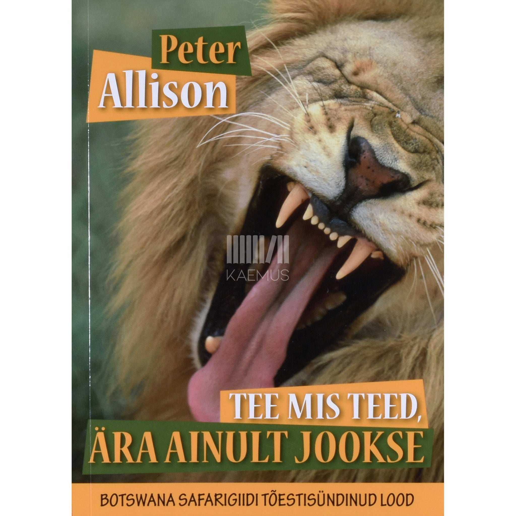 Peter Allison Tee mis teed, ära ainult jookse