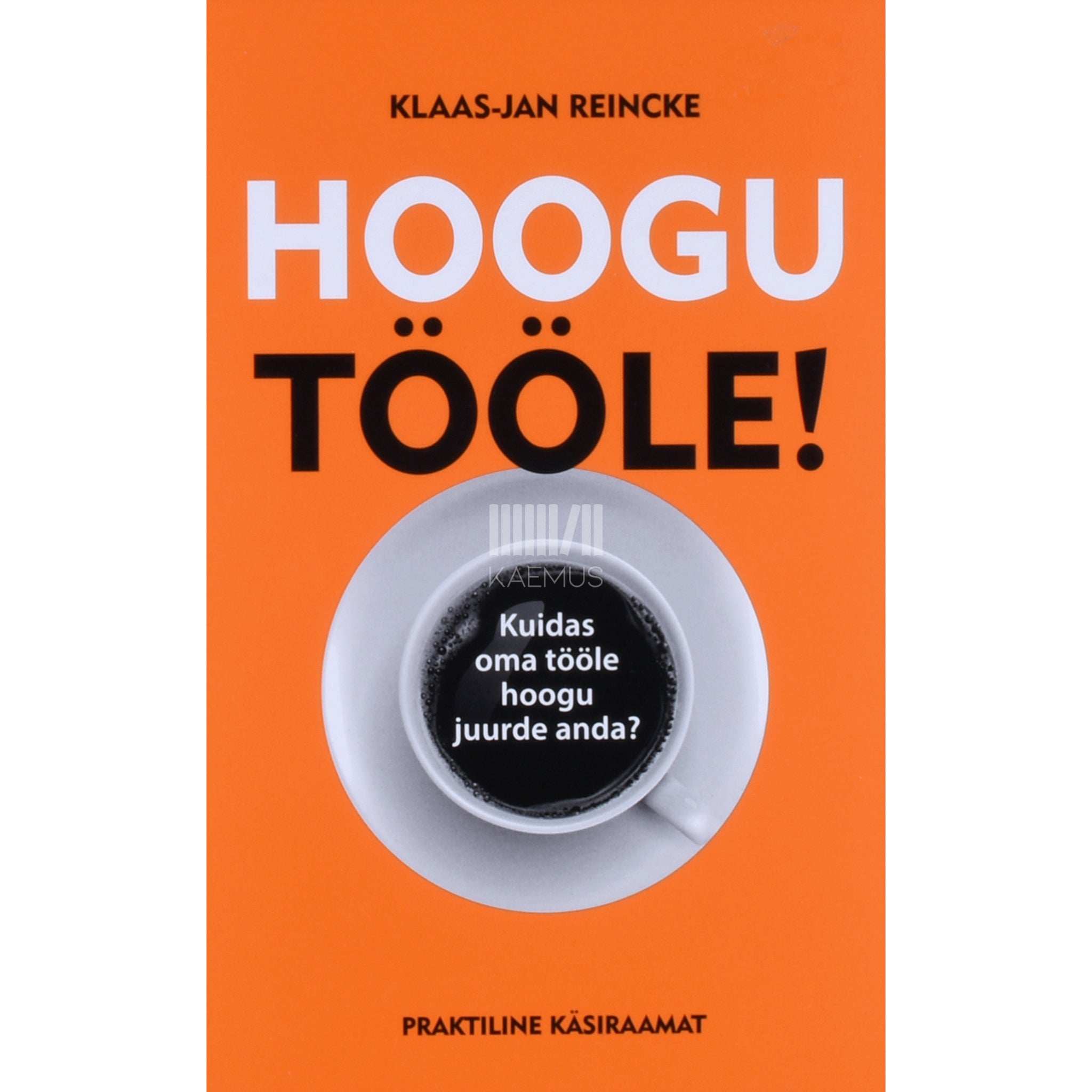 Klaas-Jan Reincke Hoogu tööle!. Kuidas oma tööle hoogu juurde anda?