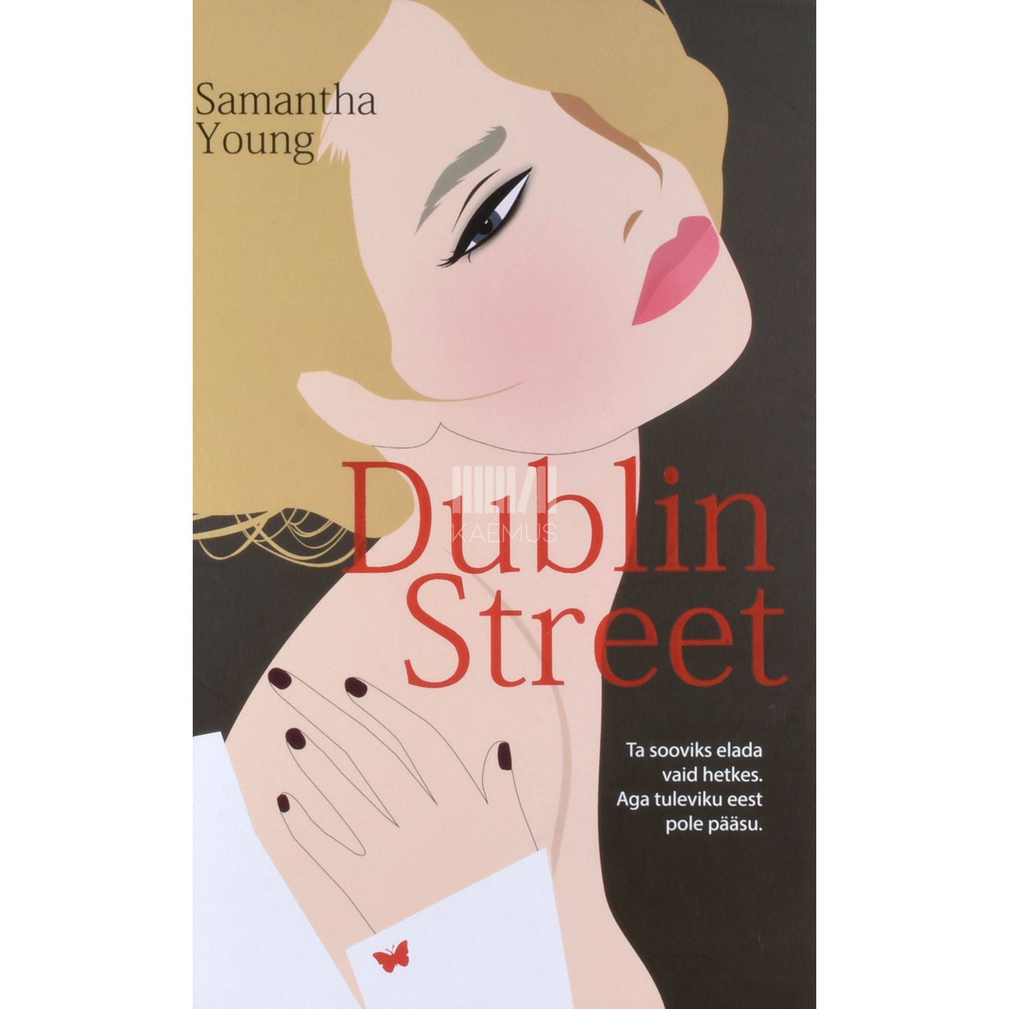 Samantha Young Dublin Street. Ta sooviks elada vaid hetkes