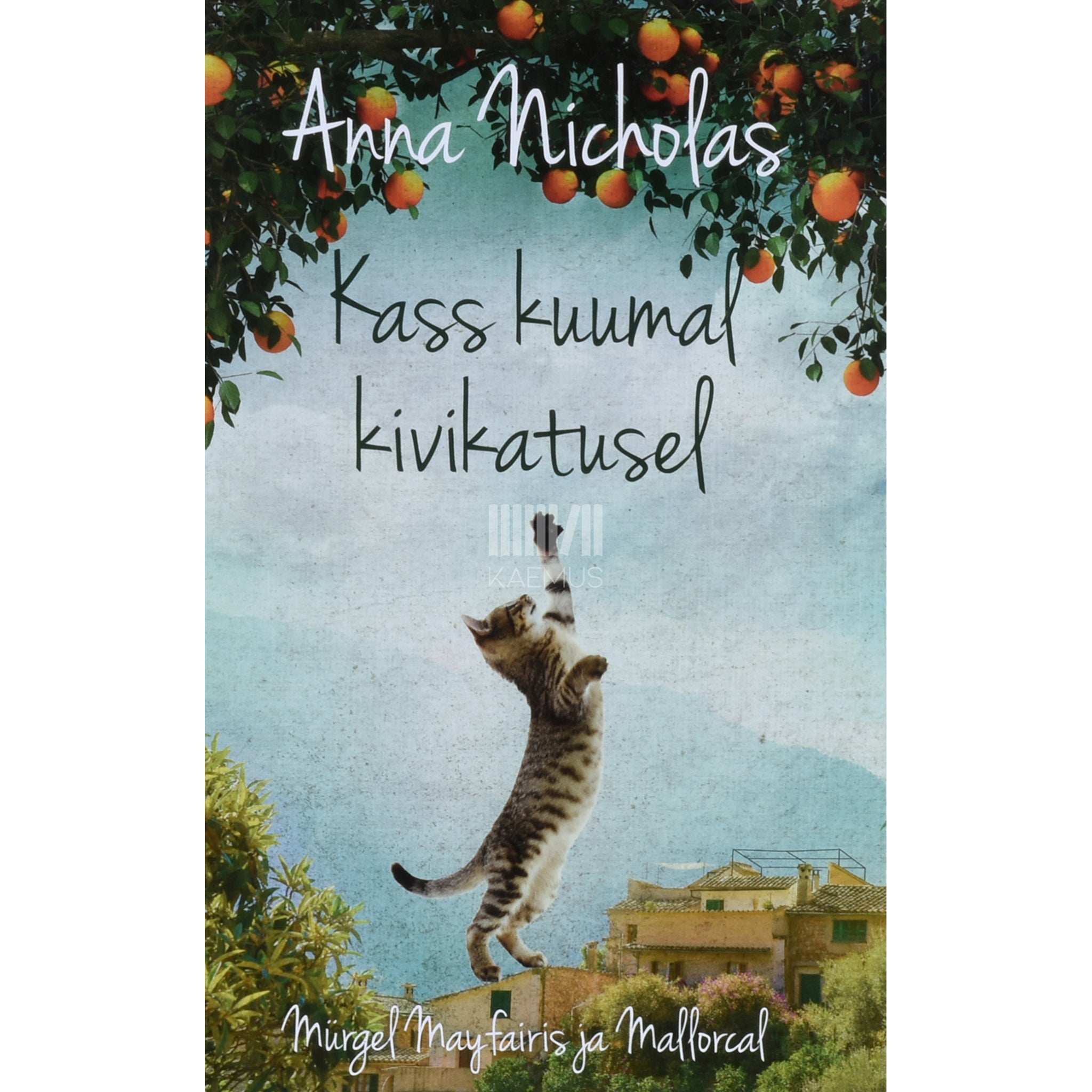 Anna Nicholas Kass kuumal kivikatusel. Mürgel Mayfairis ja Mallorcal