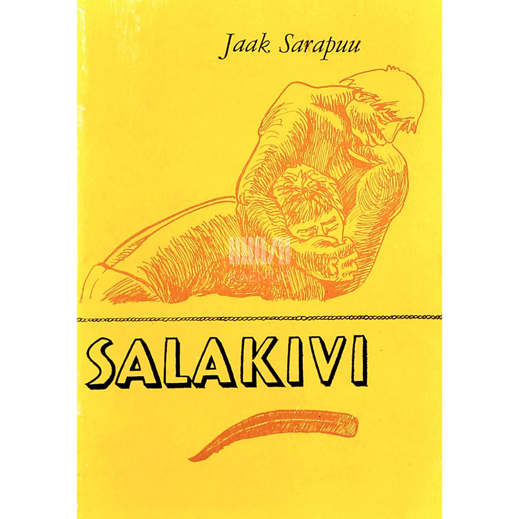 Jaak Sarapuu Salakivi. Jutustus pronksiajast