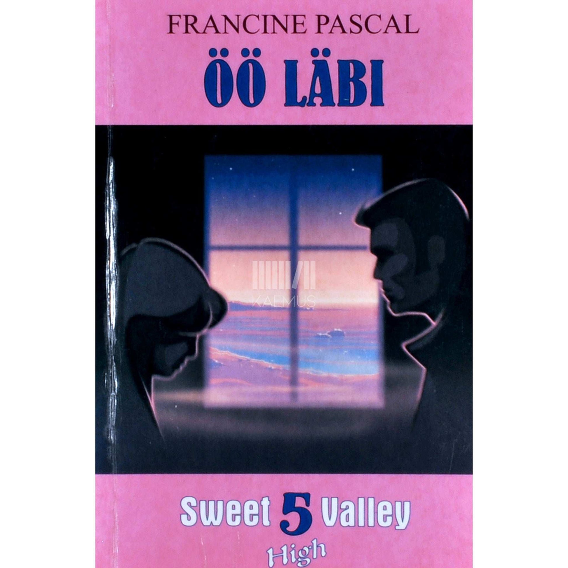 Francine Pascal - Öö läbi