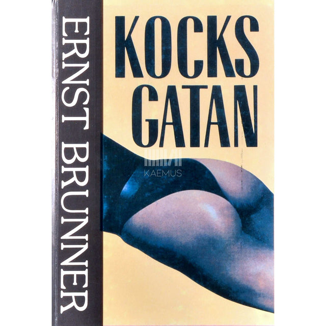 Ernst Brunner - Kocksgatan