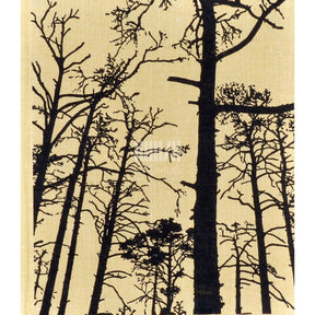 ... Pilte Alutaguselt. Fotoalbum