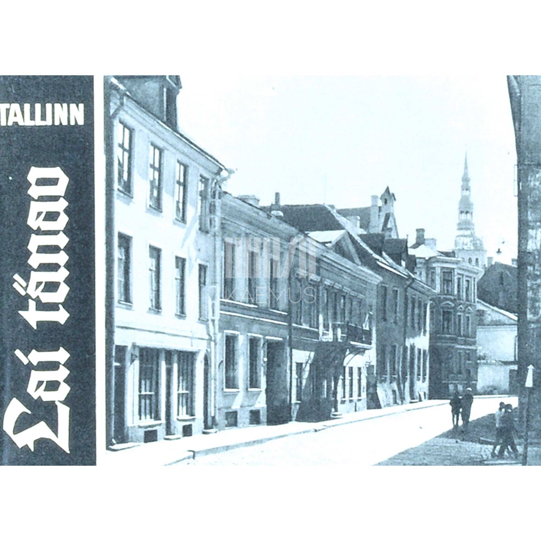 ... Kadriorg. Fotoalbum