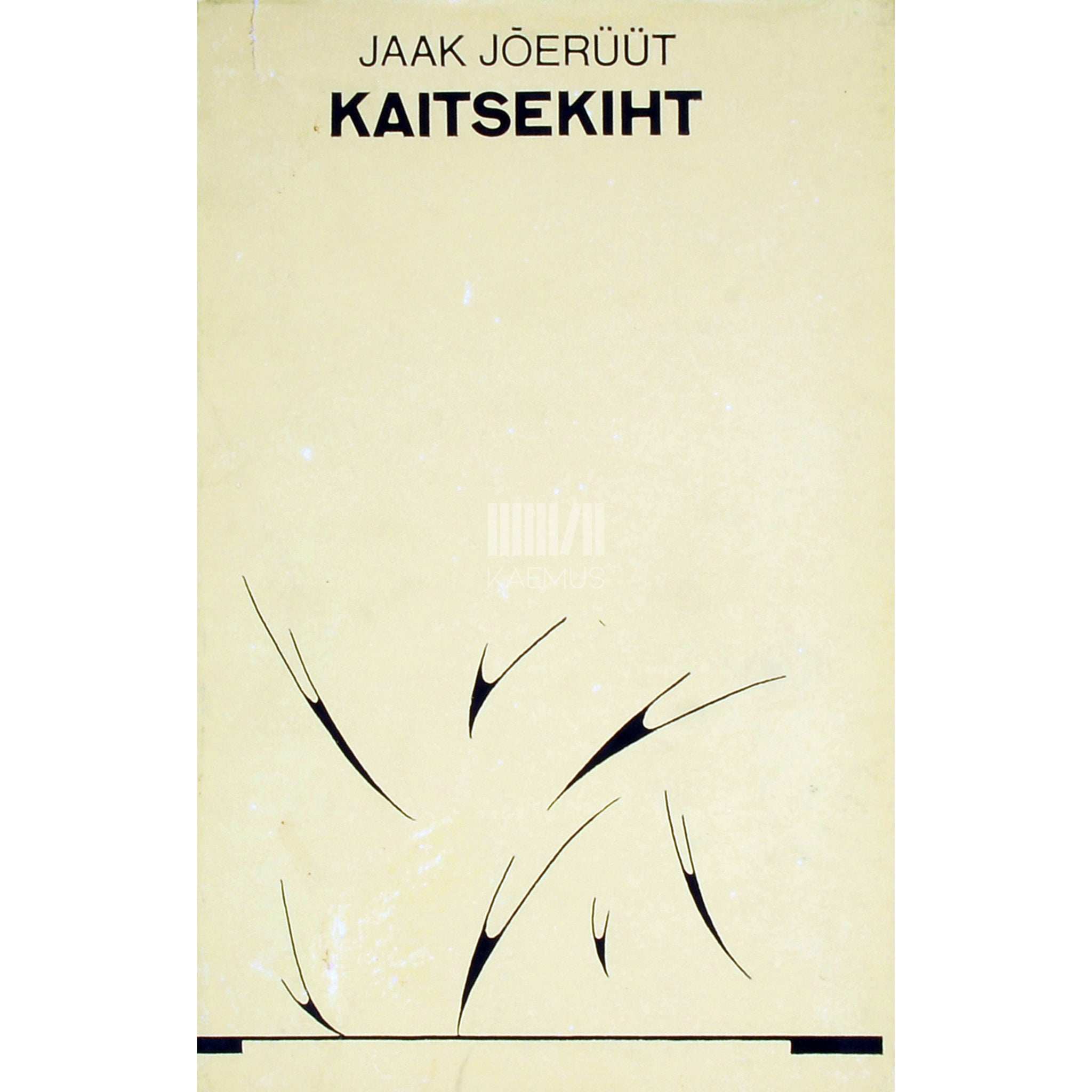 Jaak Jõerüüt Kaitsekiht