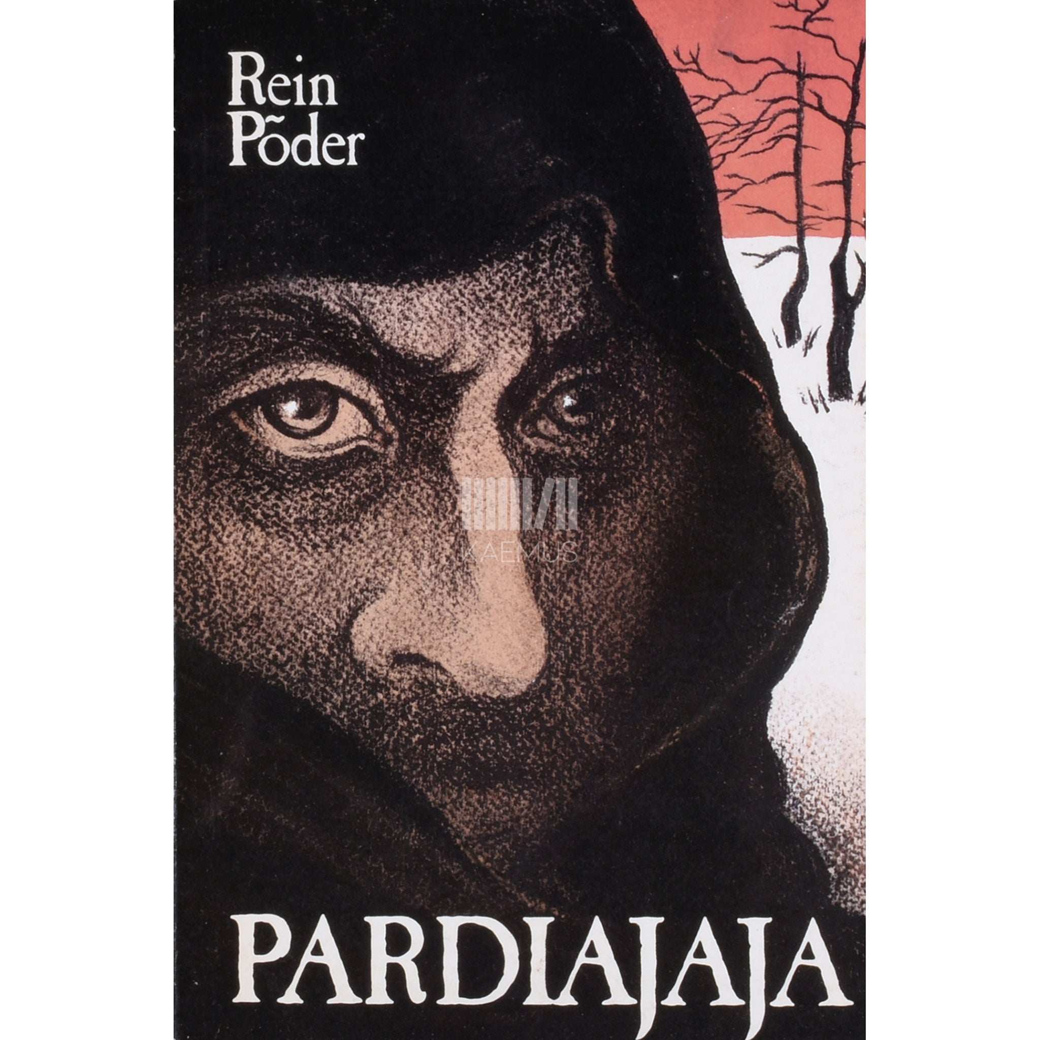 Rein Põder Pardiajaja. Ballaadromaan