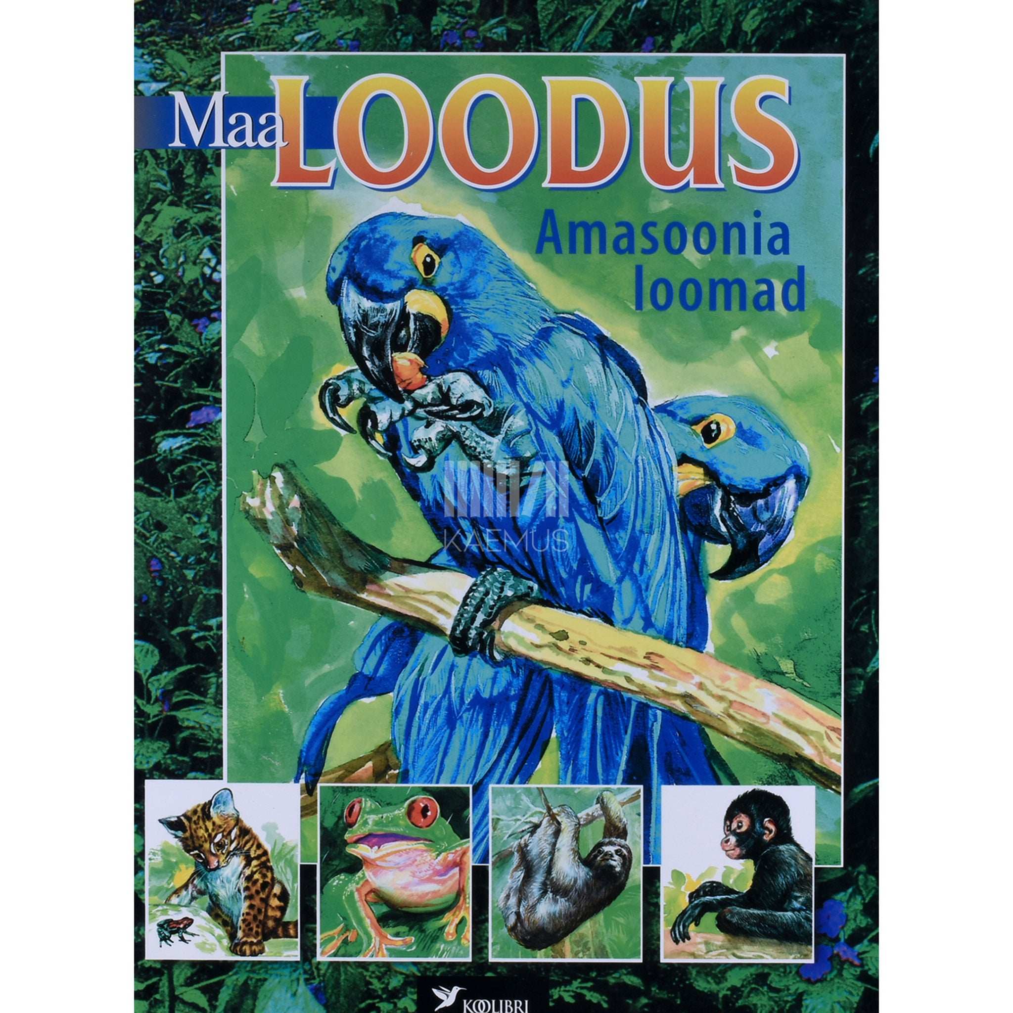 Arturo Arzuffi Amasoonia loomad