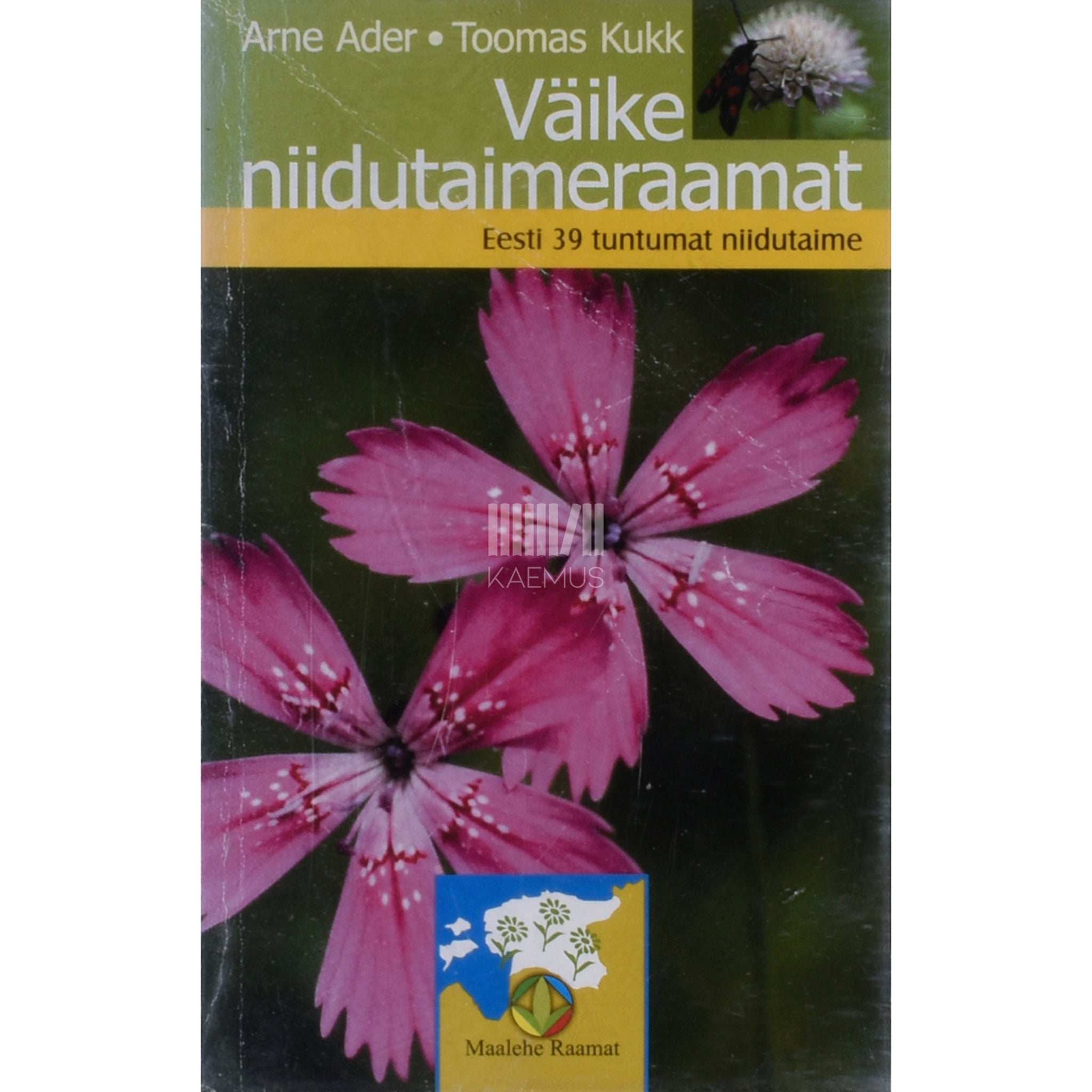 Toomas Kukk Väike niidutaimeraamat. Eesti 39 tuntumat niidutaime
