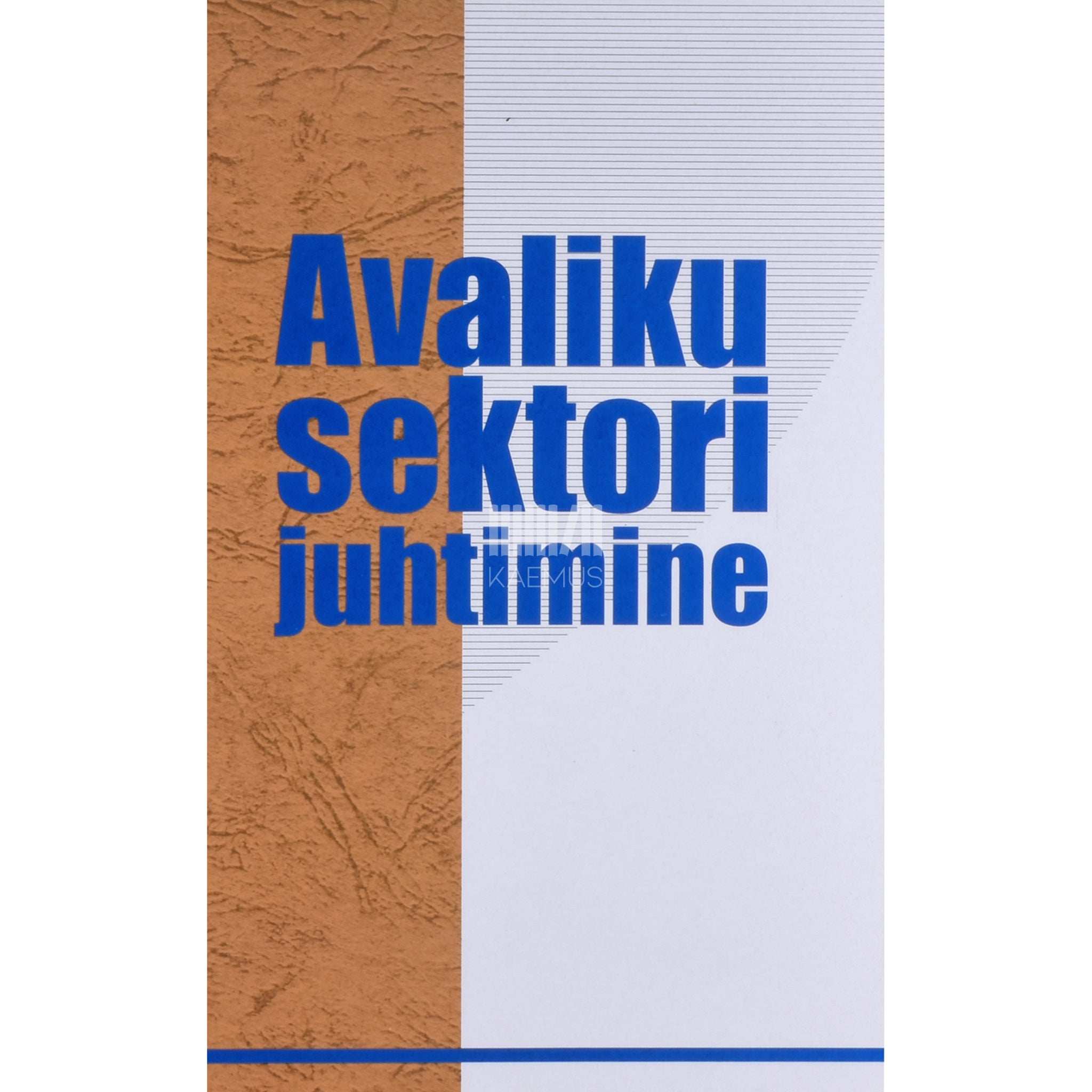 Kjell A. Eliassen, Jan Kooiman Avaliku sektori juhtimine. Euroopa riikide kogemused