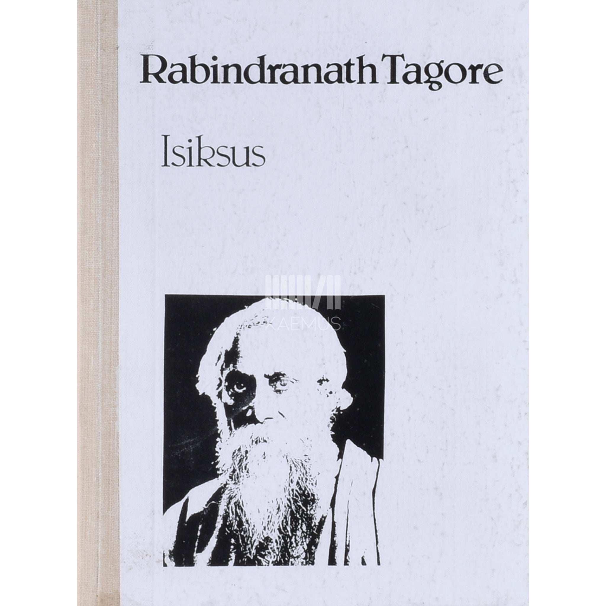 Rabindranath Tagore Isiksus. Ameerikas peetud loengud
