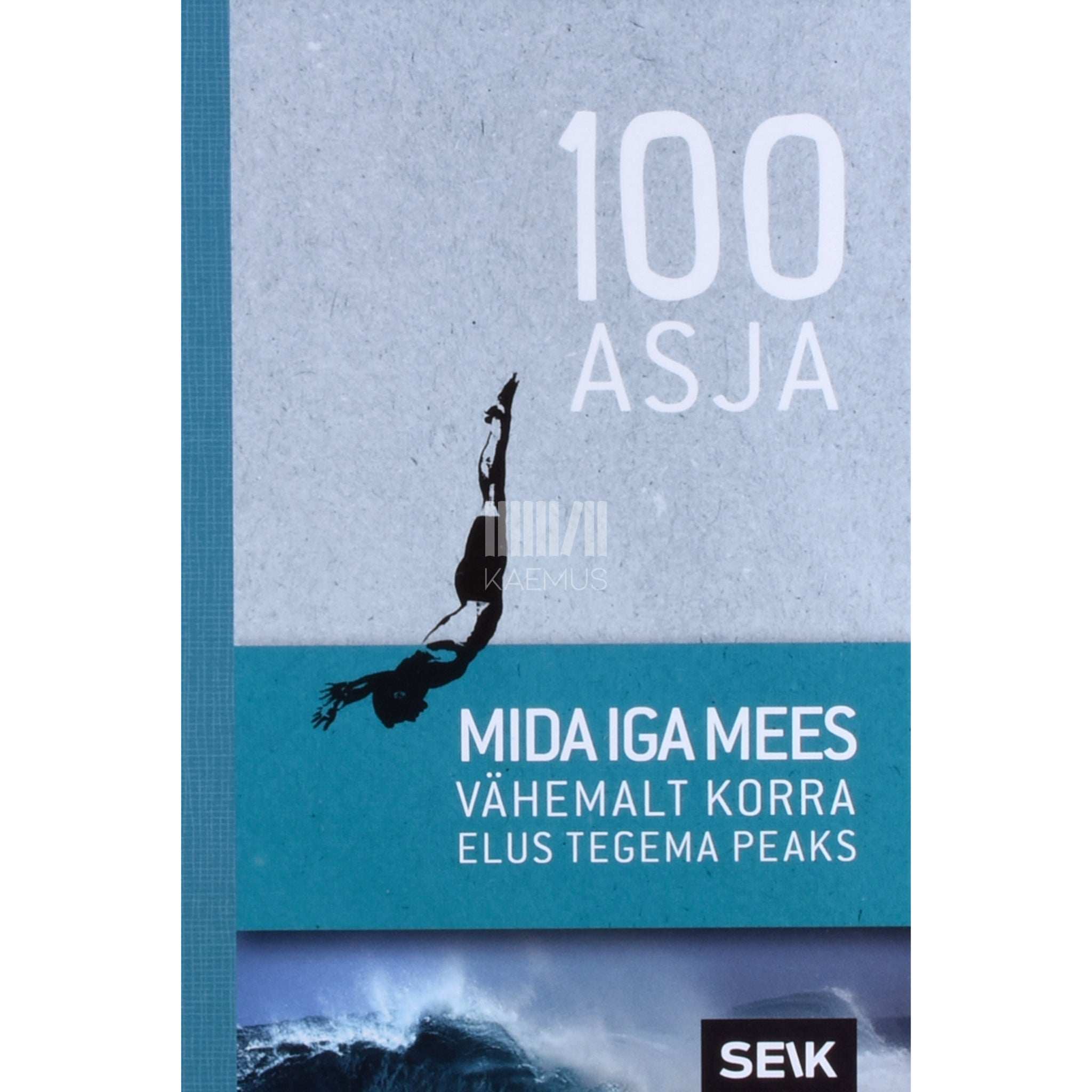 Groh Verlag 100 asja, mida iga mees vähemalt korra elus tegema peaks 1. osa