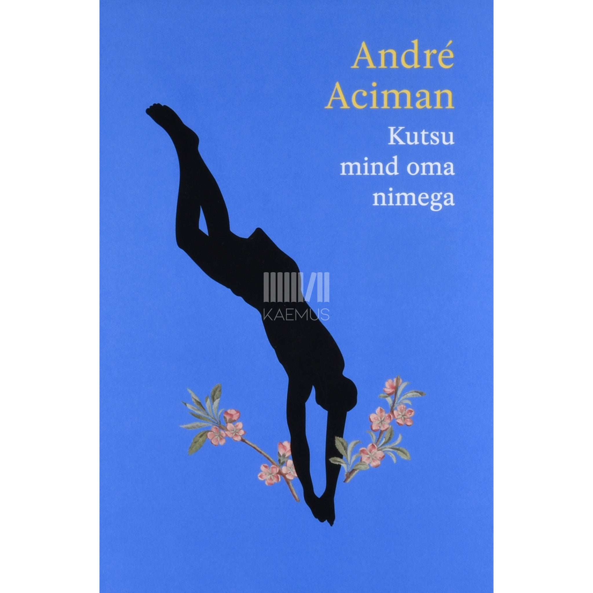 André Aciman Kutsu mind oma nimega