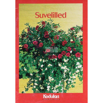 ... - Suvelilled
