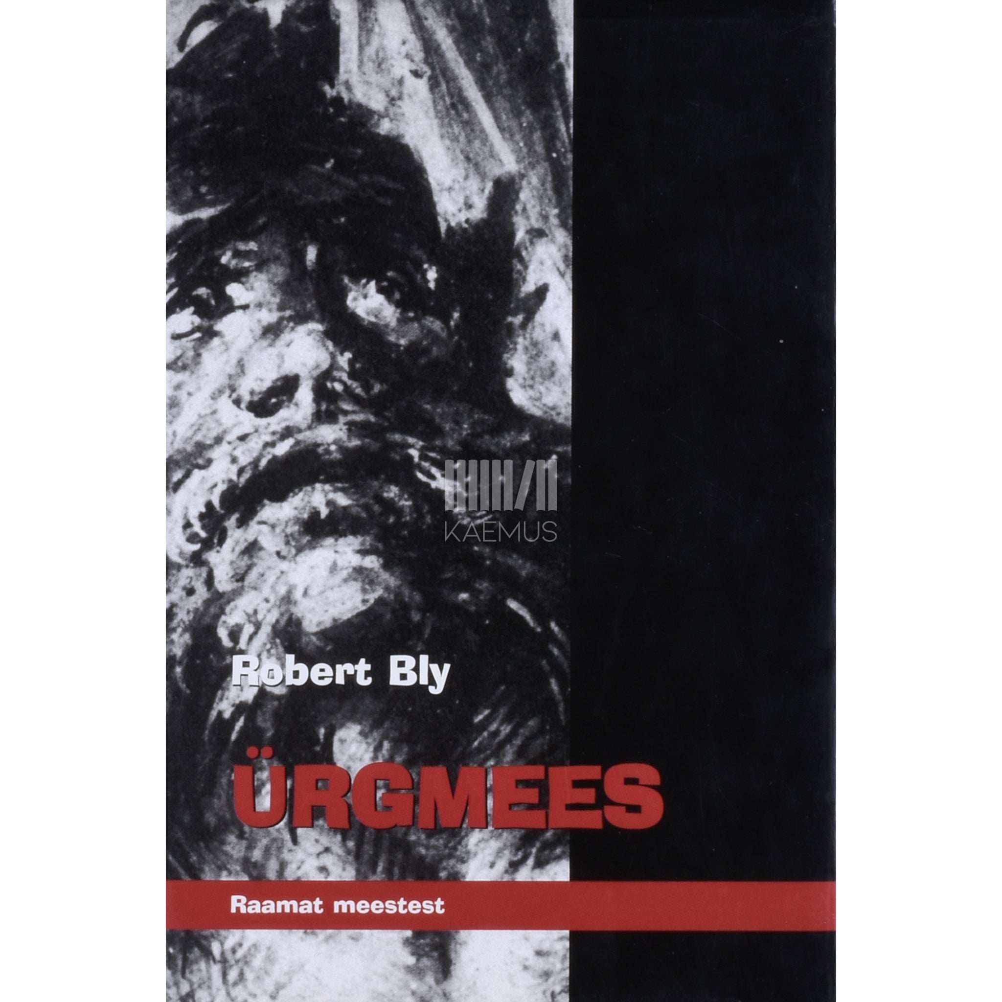 Robert Bly Ürgmees. Raamat meestest