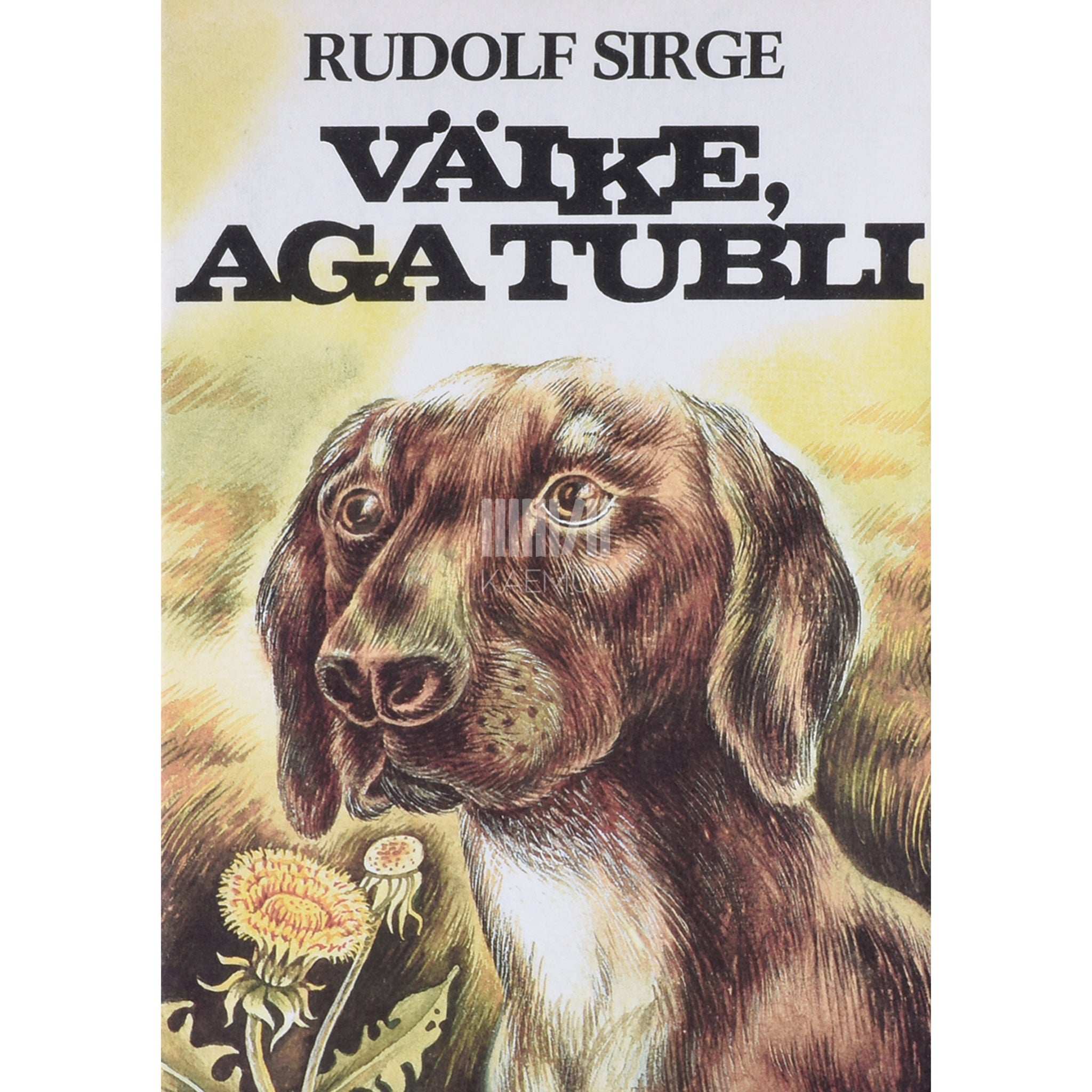 Rudolf Sirge Väike, aga tubli