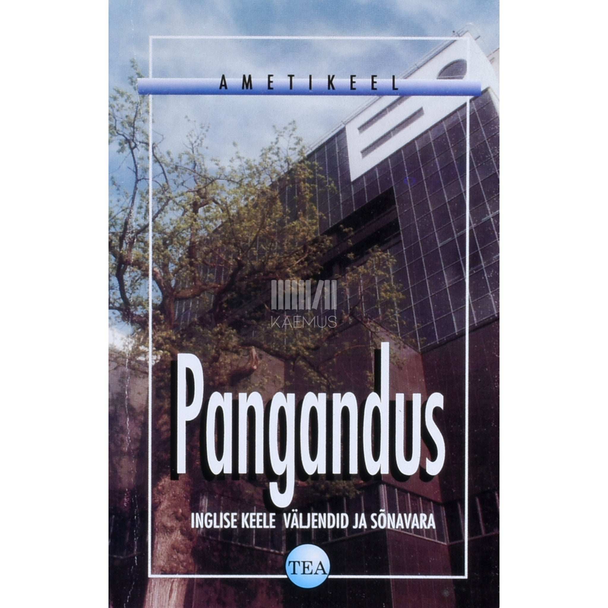 … Pangandus. Ametikeel. Inglise keel. Väljendid ja sõnavara