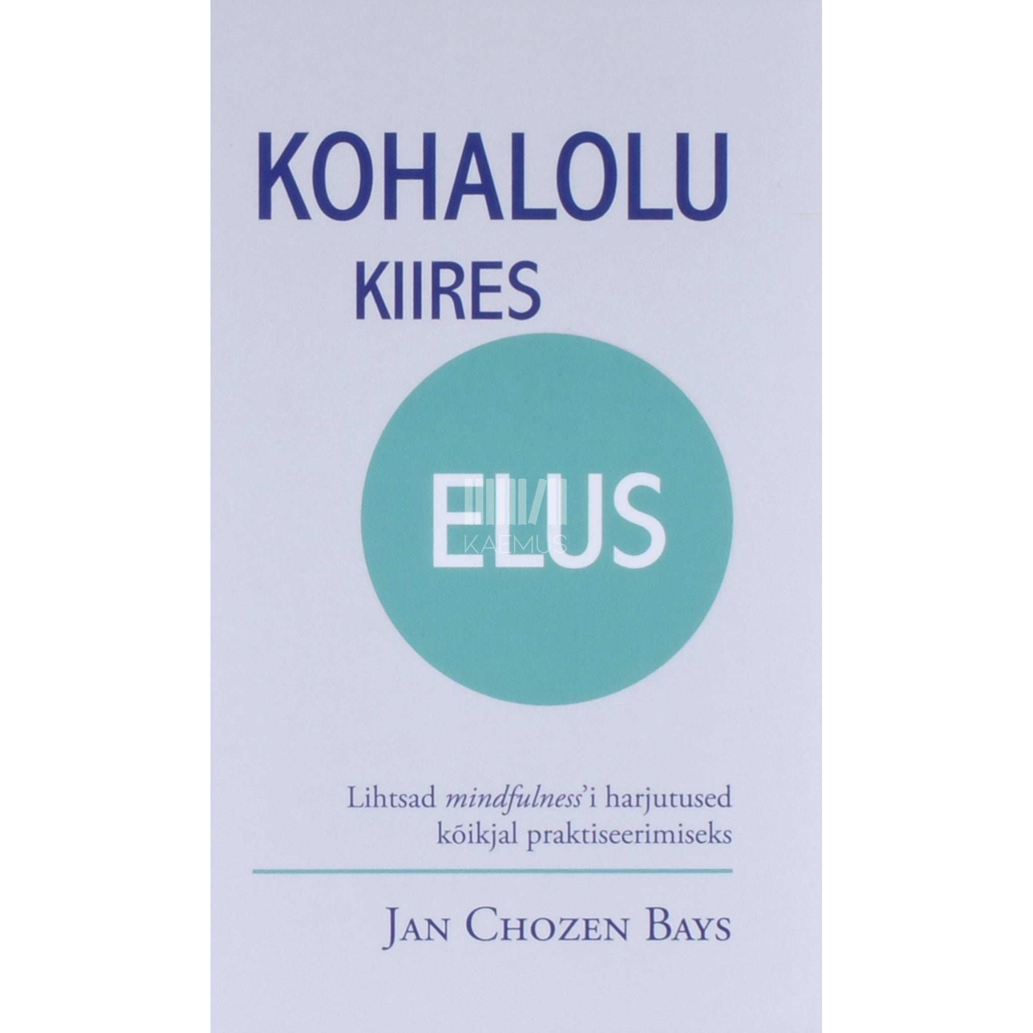 Jan Chozen Bays Kohalolu kiires elus. Lihtsad mindfulnessi harjutused …