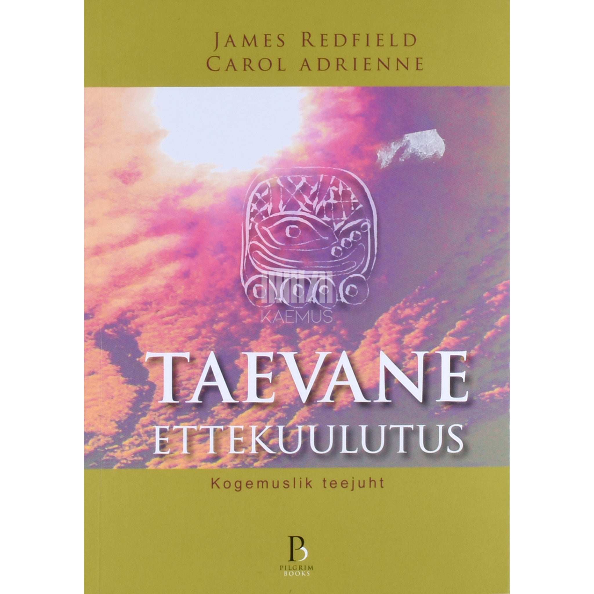 Carol Adrienne, James Redfield Taevane ettekuulutus. Kogemuslik teejuht