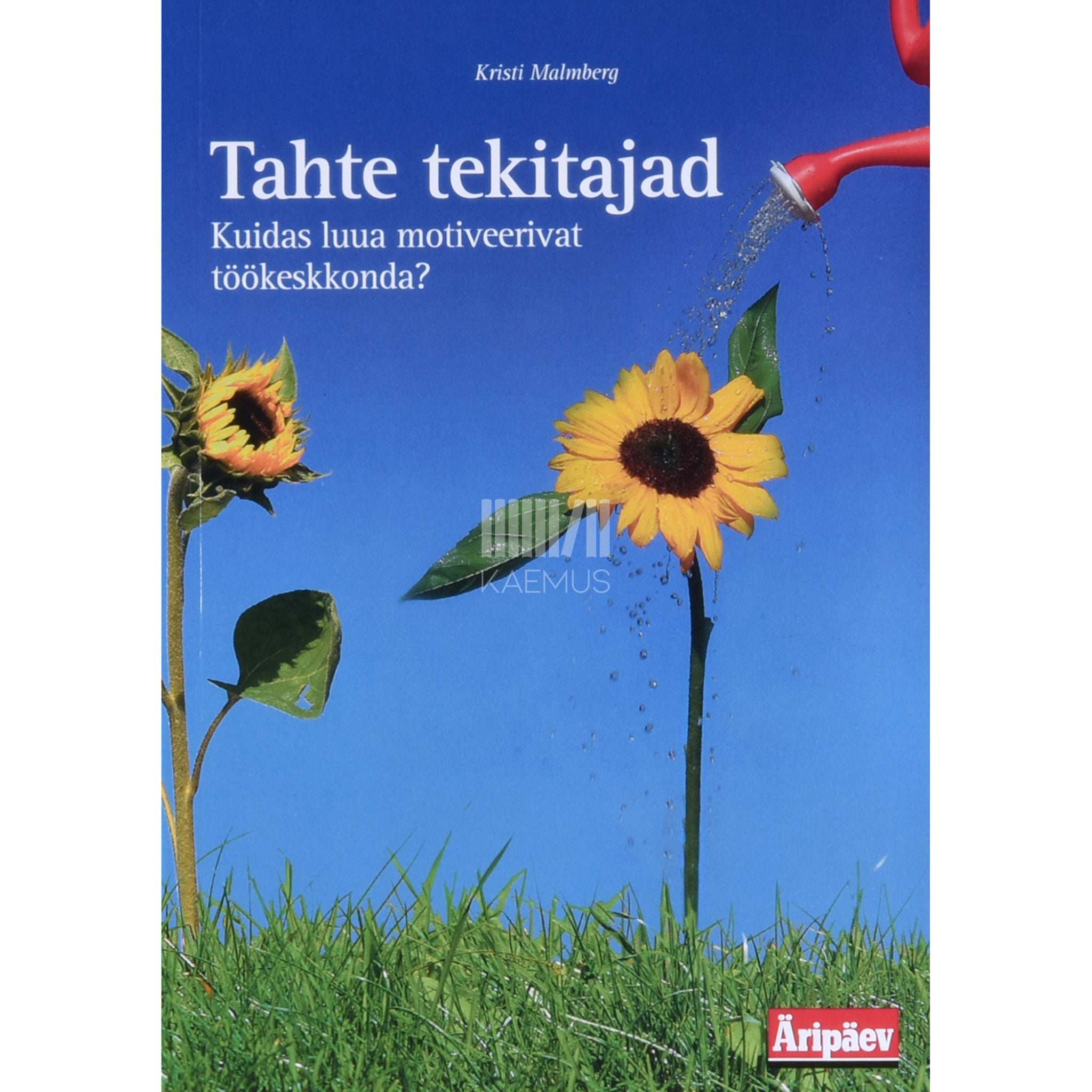 Kristi Malmberg Tahte tekitajad. Kuidas luua motiveerivat töökeskkonda?