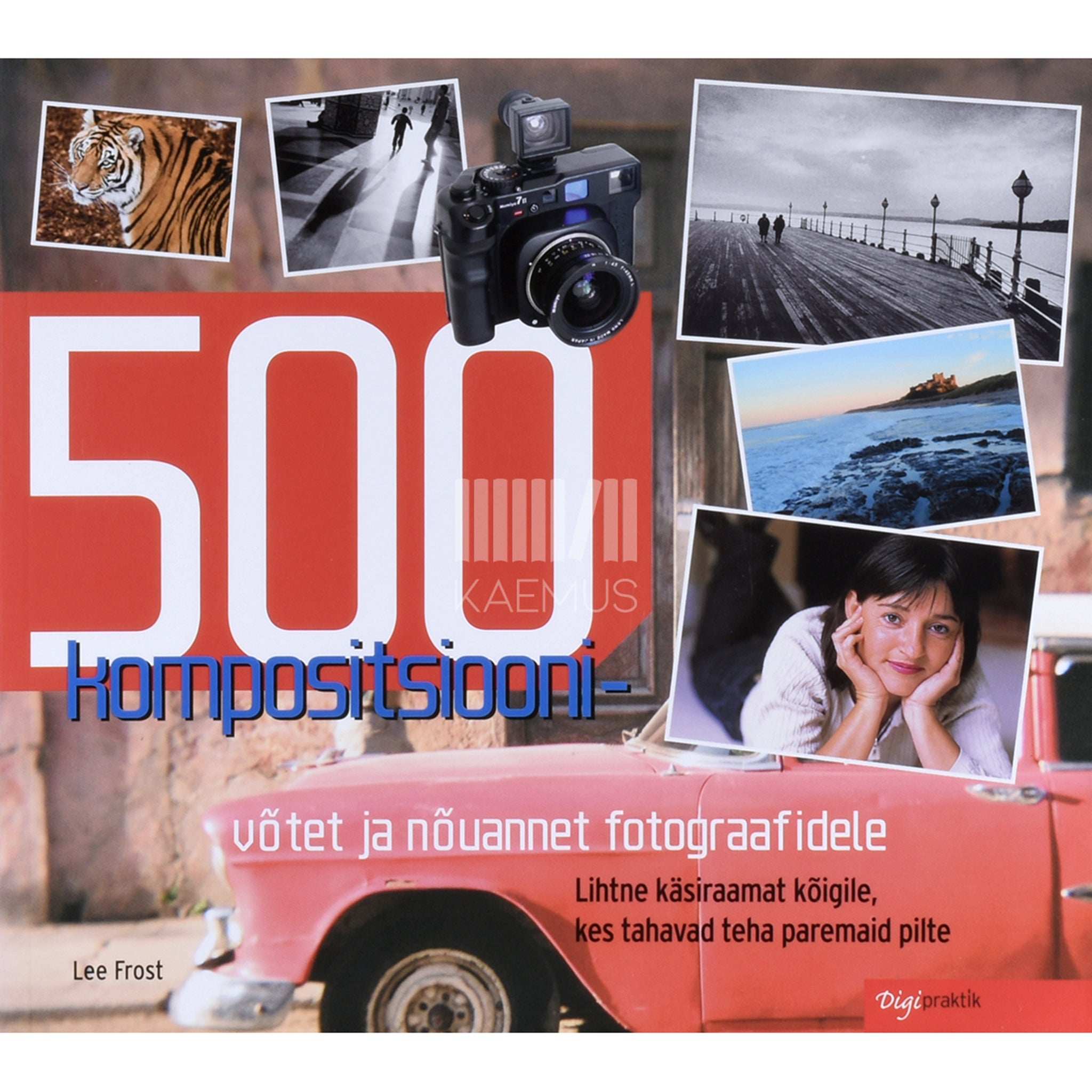 Lee Frost 500 kompositsioonivõtet ja nõuannet fotograafidele. Lihtne käsiraamat kõigile, kes tahavad teha paremaid pilte