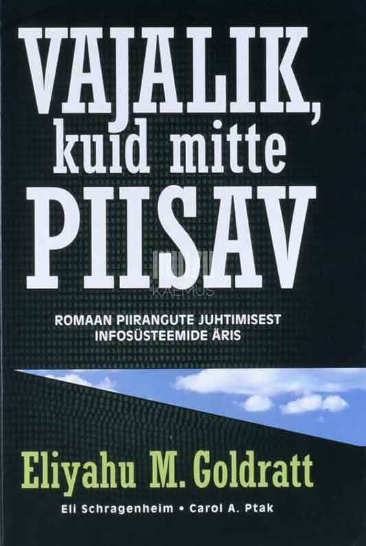 Vajalik, kuid mitte piisav. Romaan piirangute juhtimisest infosüsteemide äris - Kaemus