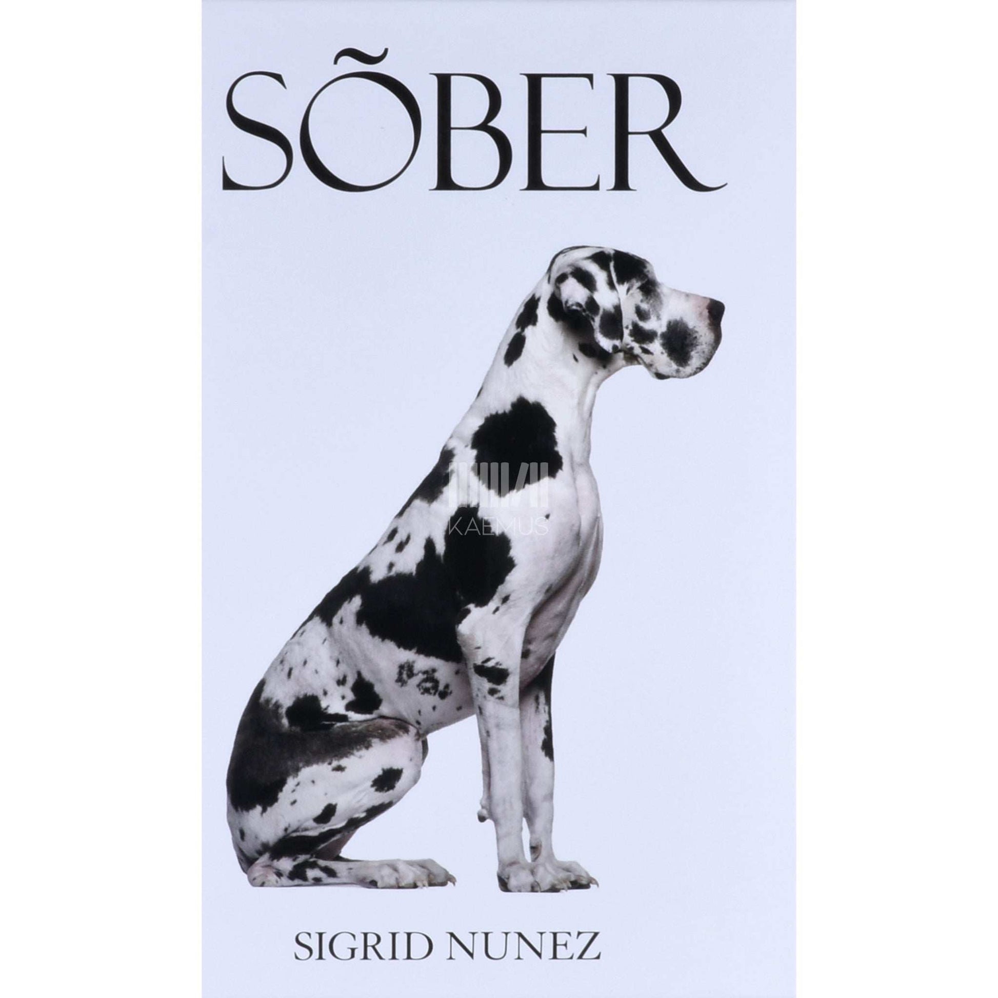 Sigrid Nunez - Sõber