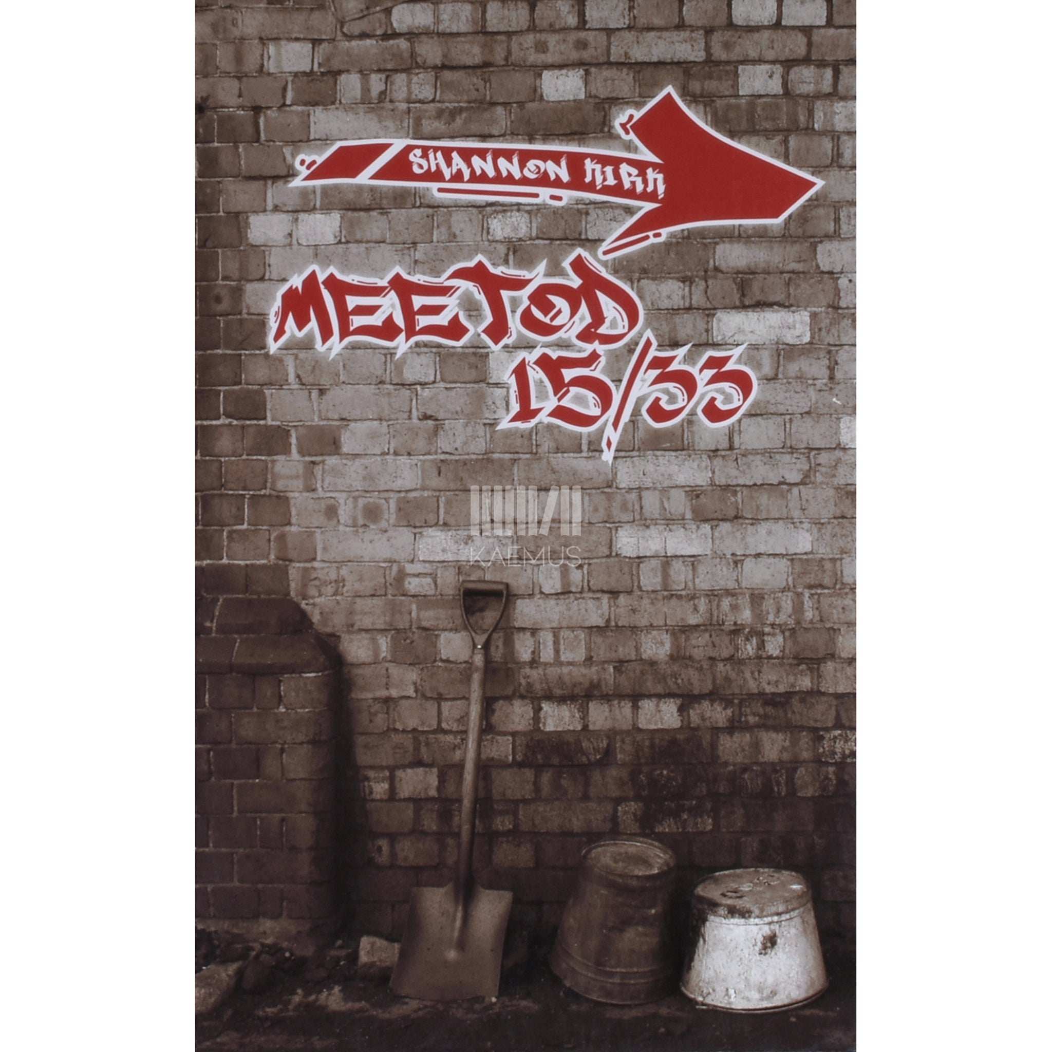 Shannon Kirk Meetod 15/33