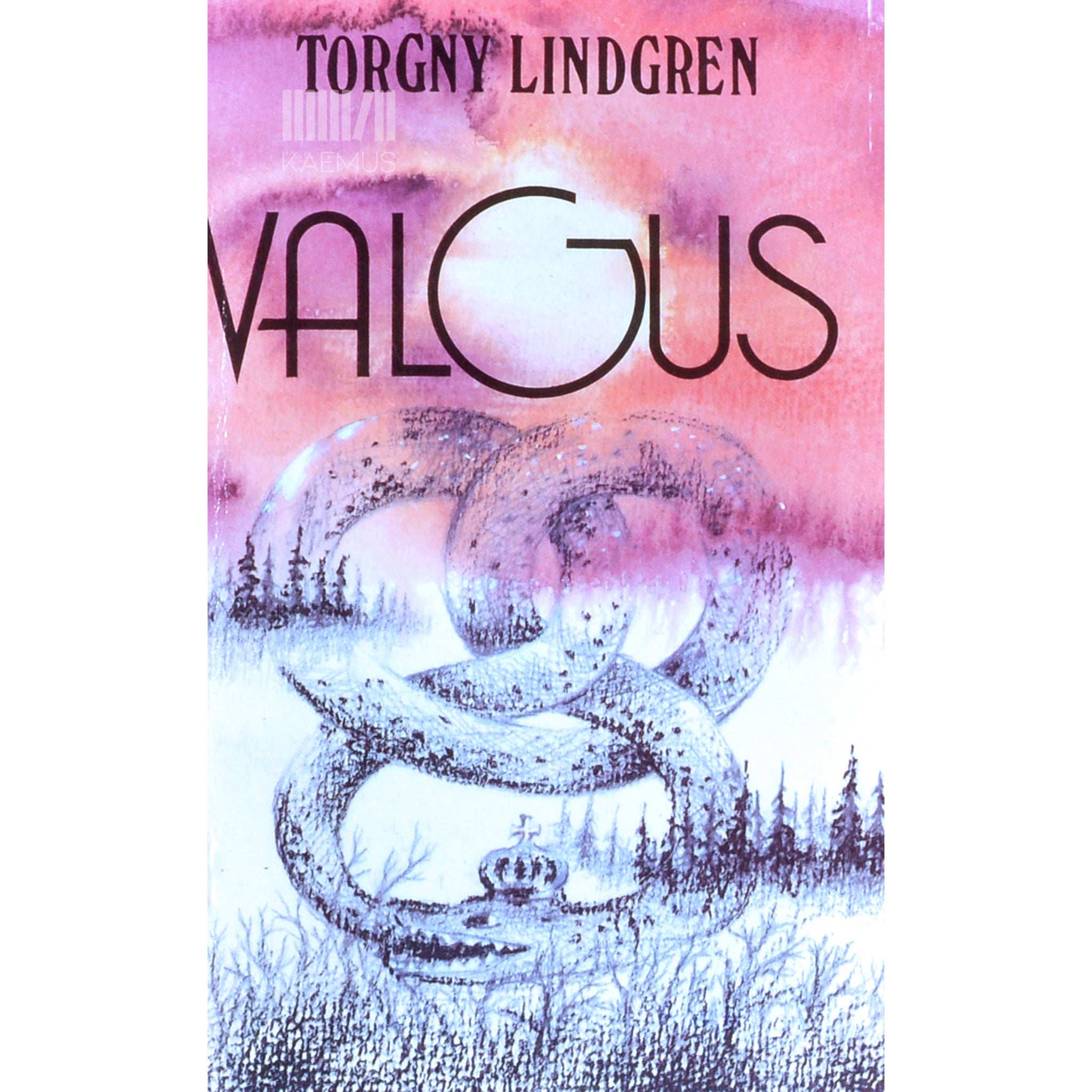Torgny Lindgren Valgus