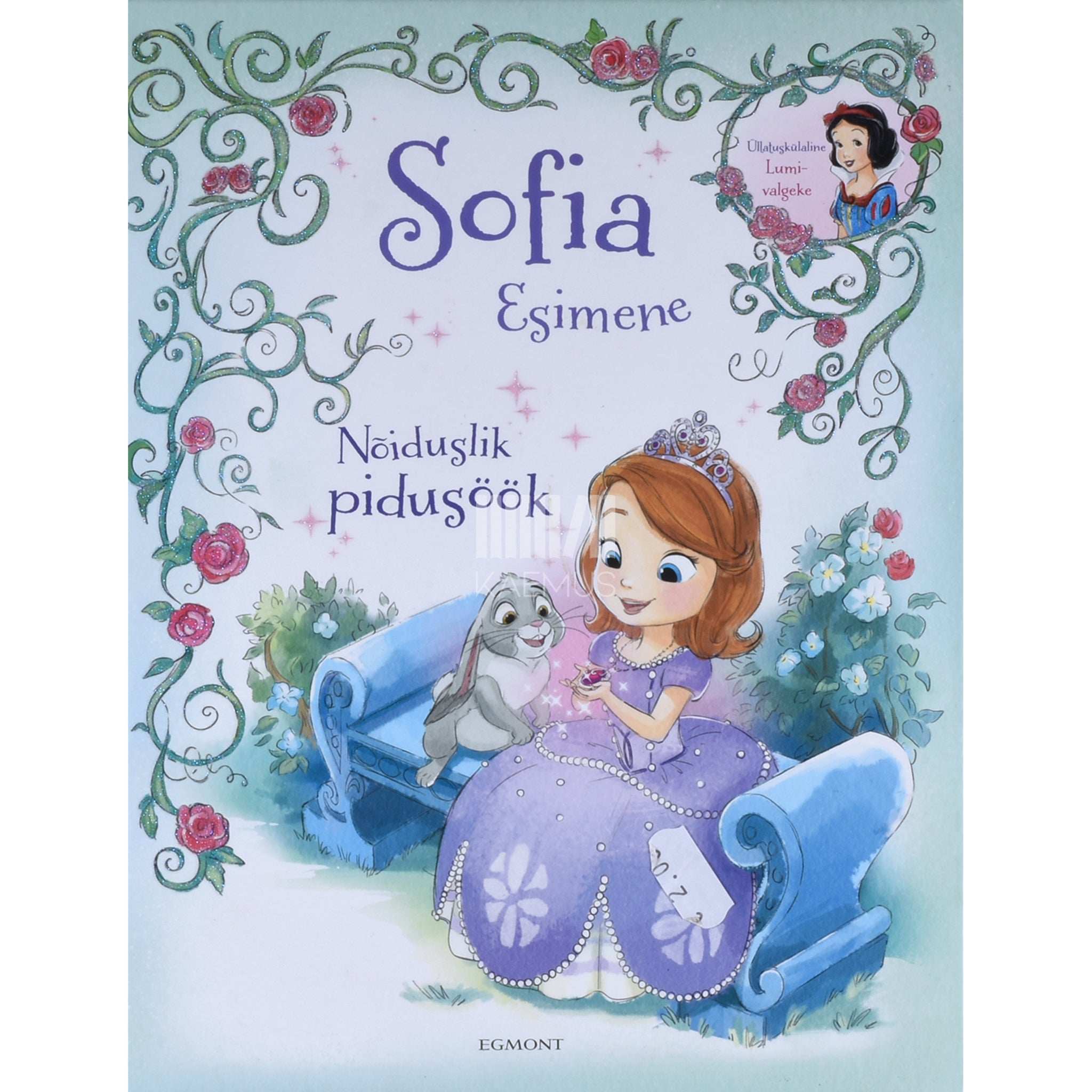 Cathy Hapka Sofia Esimene. Nõiduslik pidusöök