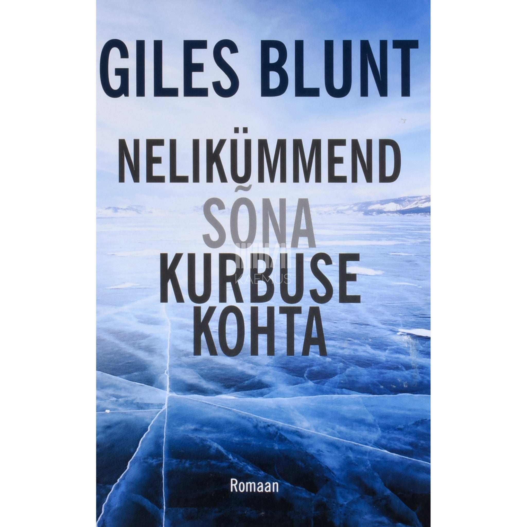 Giles Blunt Nelikümmend sõna kurbuse kohta
