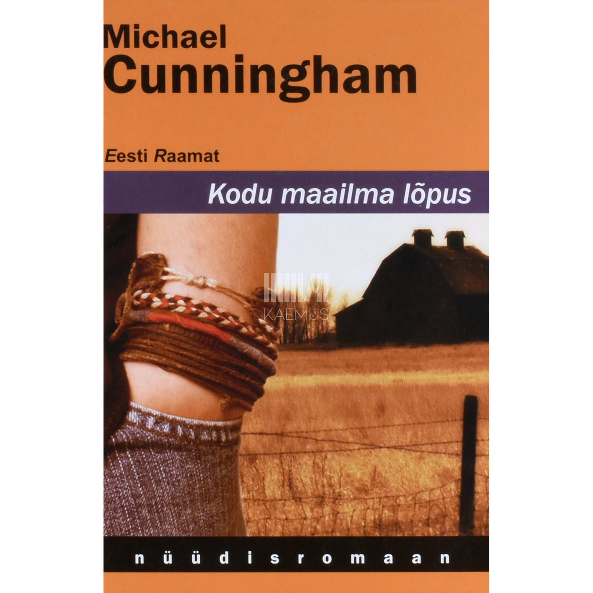 Michael Cunningham - Kodu maailma lõpus