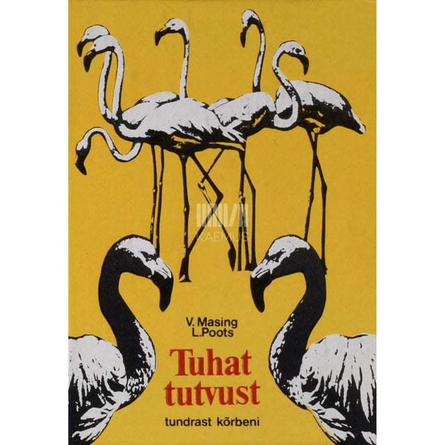 Viktor Masing - Tuhat tutvust tundrast kõrbeni