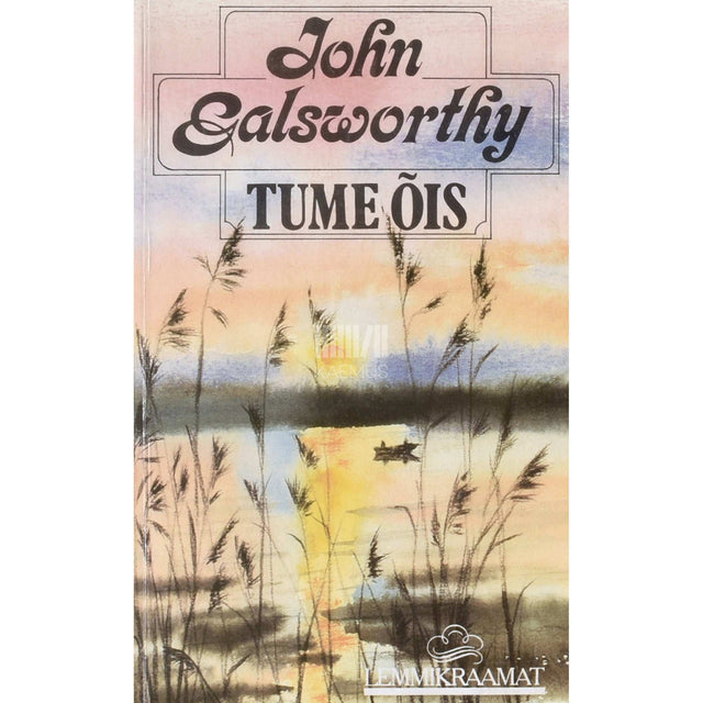 John Galsworthy - Tume õis